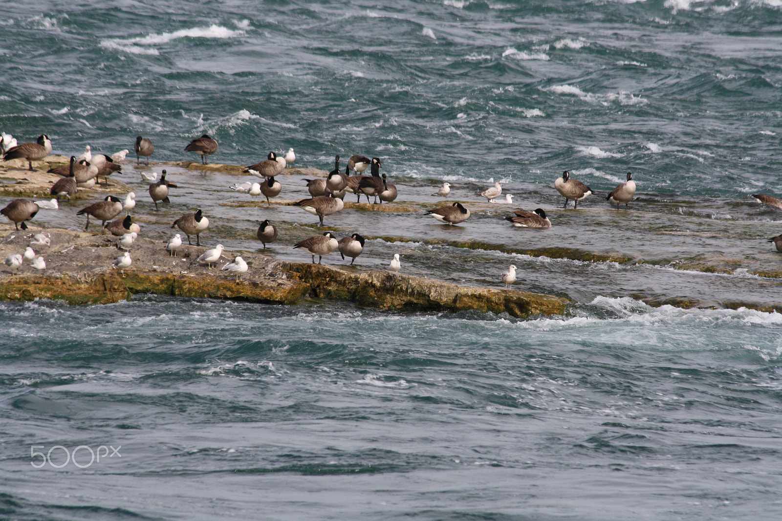 Canon EF 70-300mm F4-5.6 IS USM sample photo. Niagara falls photography