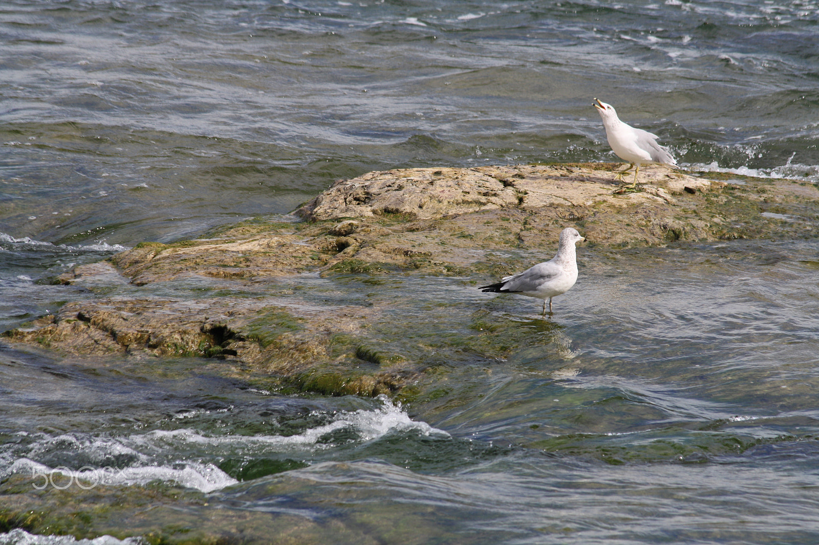 Canon EF 70-300mm F4-5.6 IS USM sample photo. Niagara falls photography