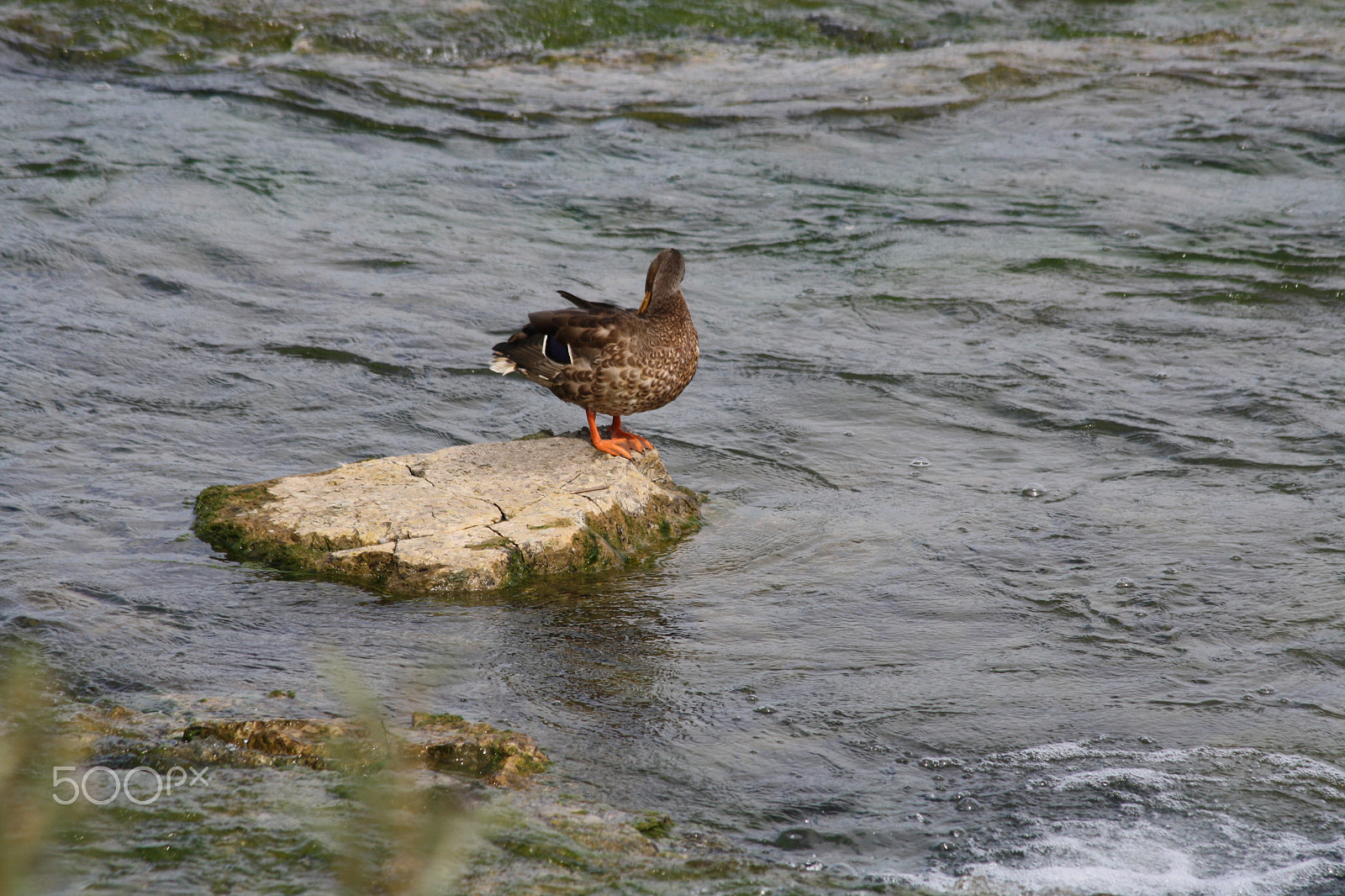 Canon EF 70-300mm F4-5.6 IS USM sample photo. Niagara falls photography