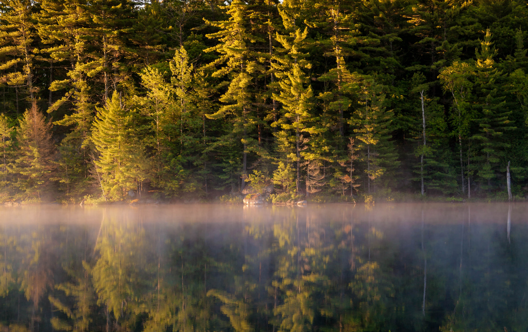 Canon EF 24-85mm F3.5-4.5 USM sample photo. Misty morning. photography
