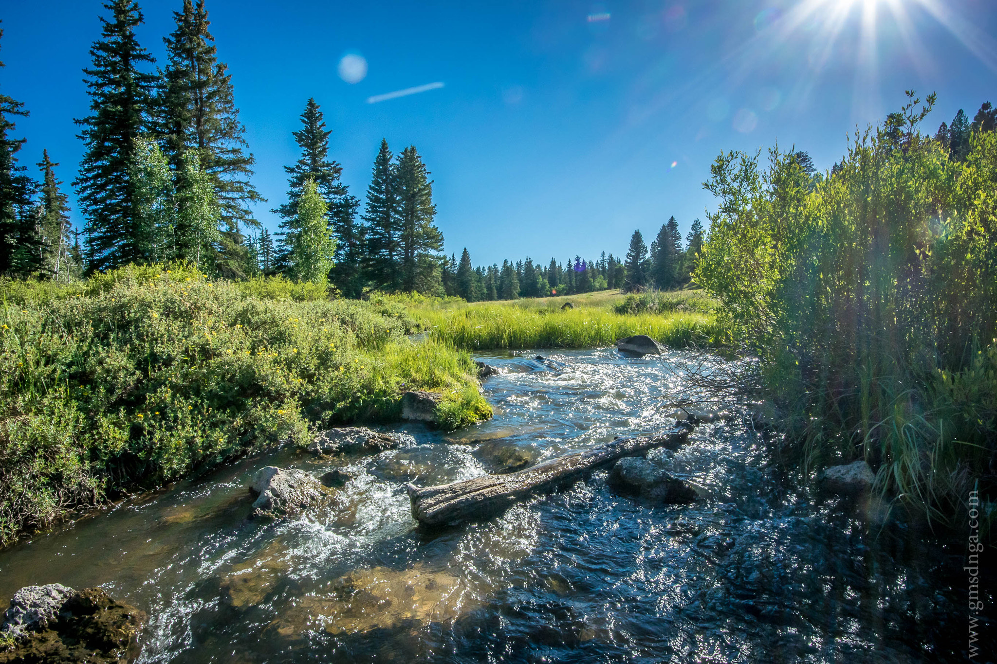 Nikon 1 J4 sample photo. Duck creek utah photography