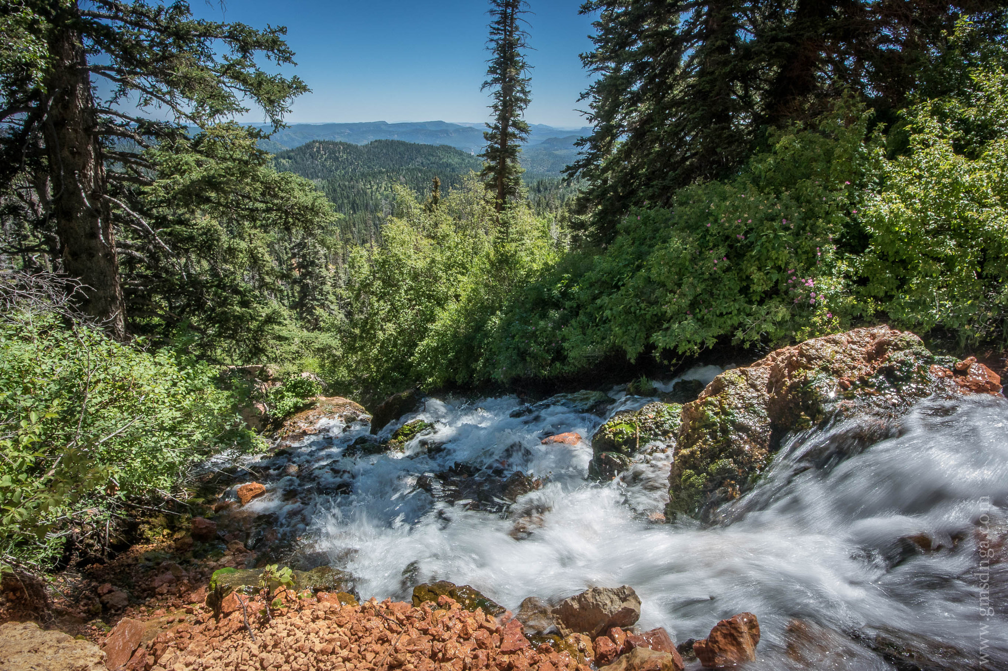 Nikon 1 J4 sample photo. Duck creek utah photography