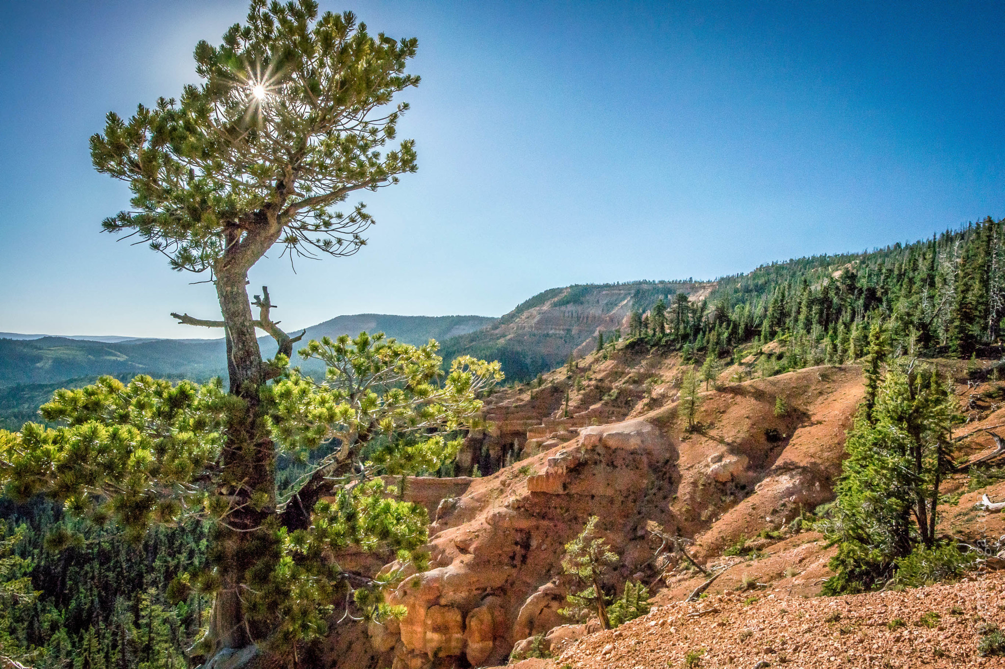 Nikon 1 J4 + Nikon 1 Nikkor VR 6.7-13mm F3.5-5.6 sample photo. Cascade falls trailhead utah photography