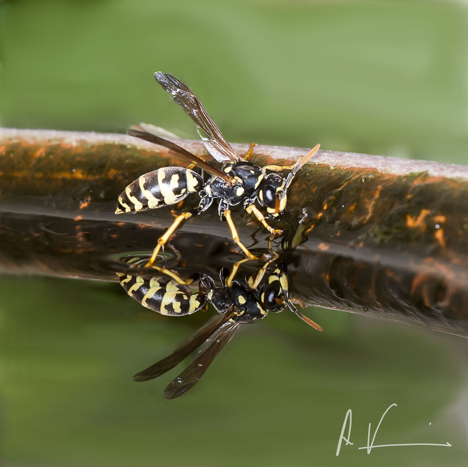 Nikon D80 sample photo. At the time of heat photography