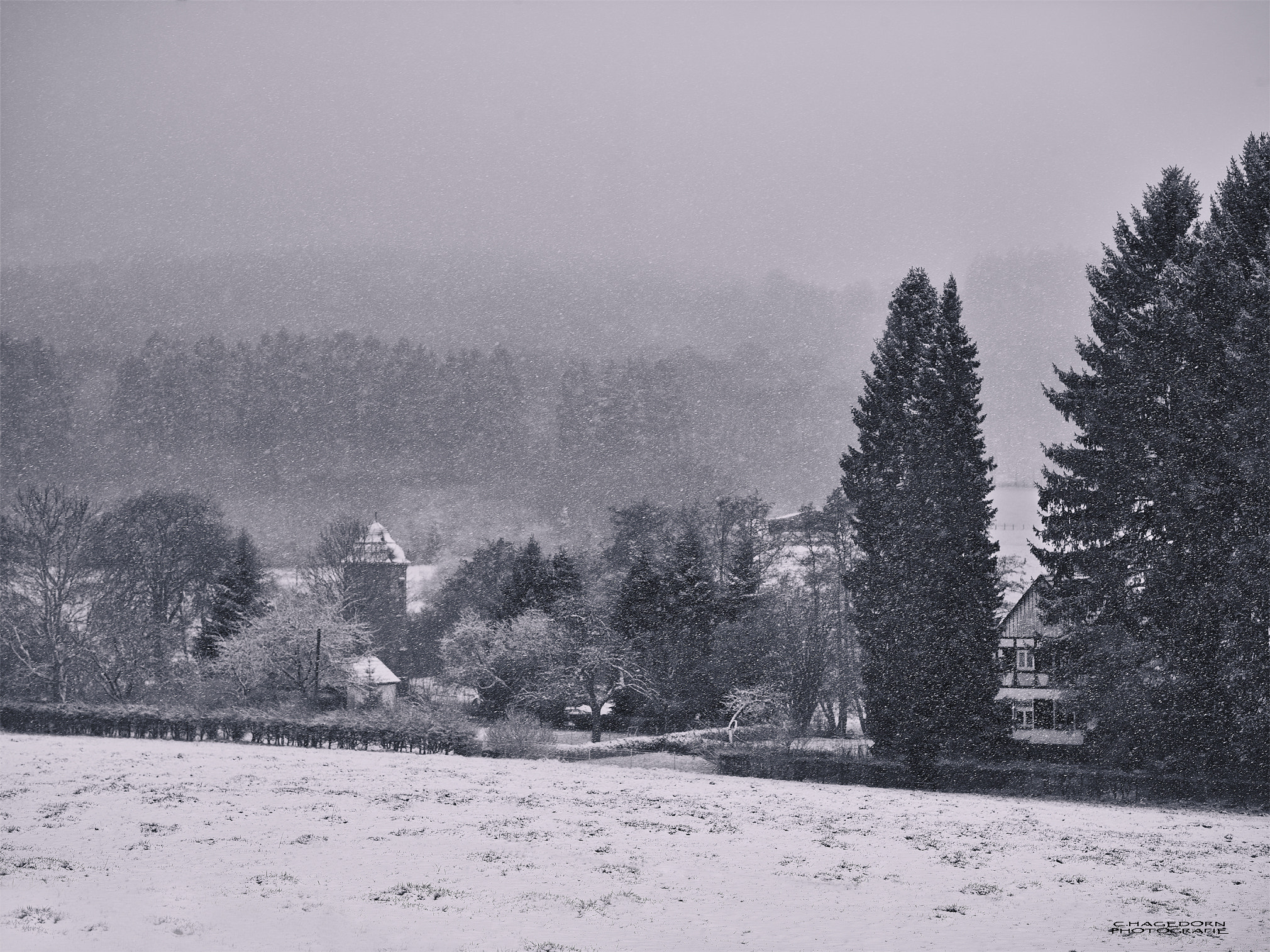 Phase One P65+ + Schneider LS 110mm f/2.8 sample photo. Winterlandschaft sauerland photography