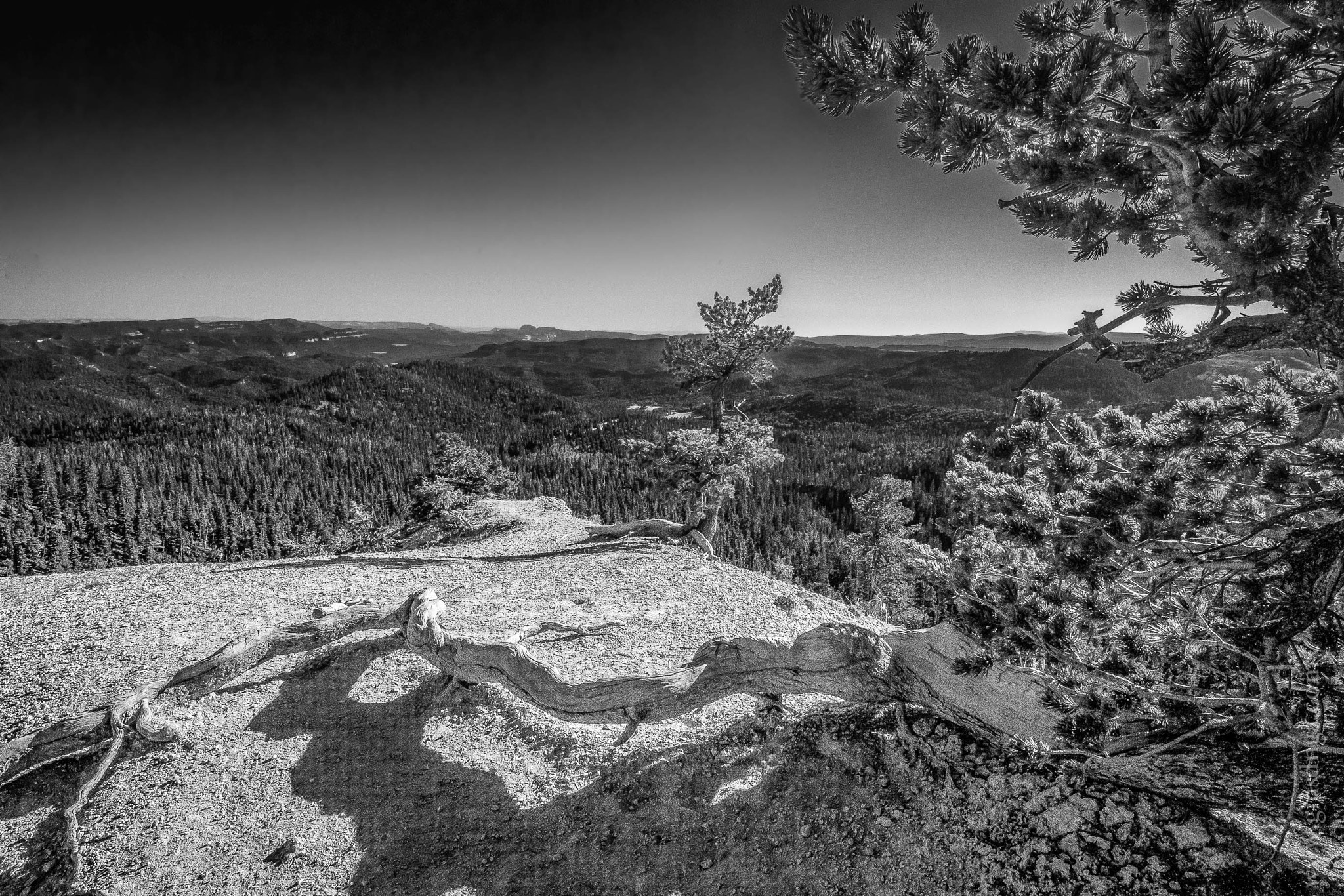 Nikon 1 Nikkor VR 6.7-13mm F3.5-5.6 sample photo. Looking toward zion utah photography