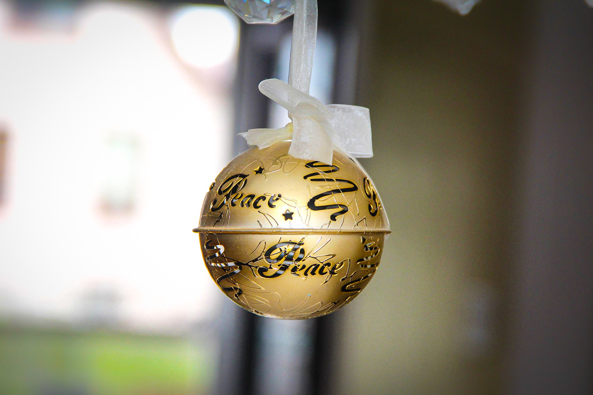 Canon EOS 650D (EOS Rebel T4i / EOS Kiss X6i) sample photo. The world needs more peace and love photography