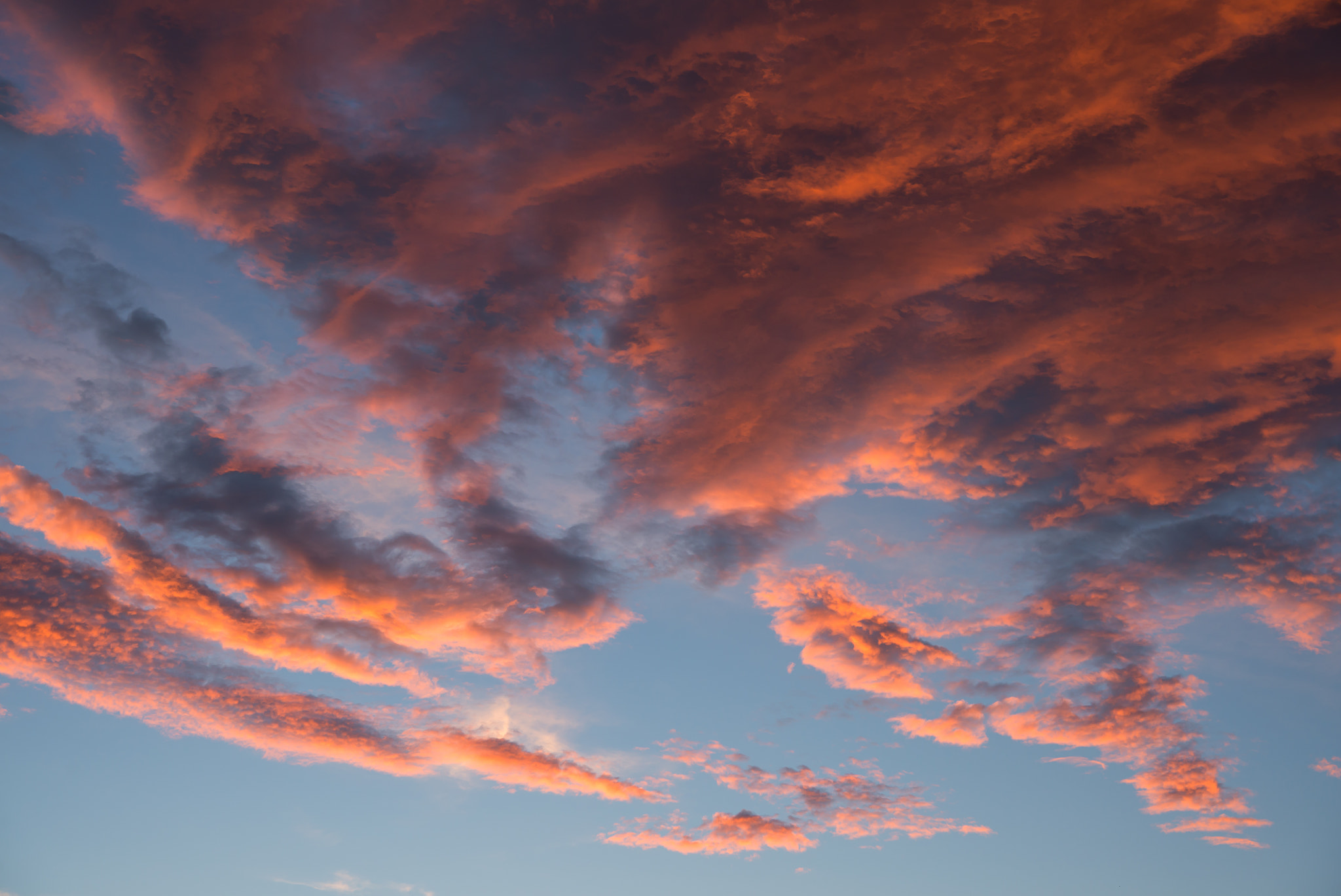 Nikon AF-S Micro-Nikkor 60mm F2.8G ED sample photo. Sky photography