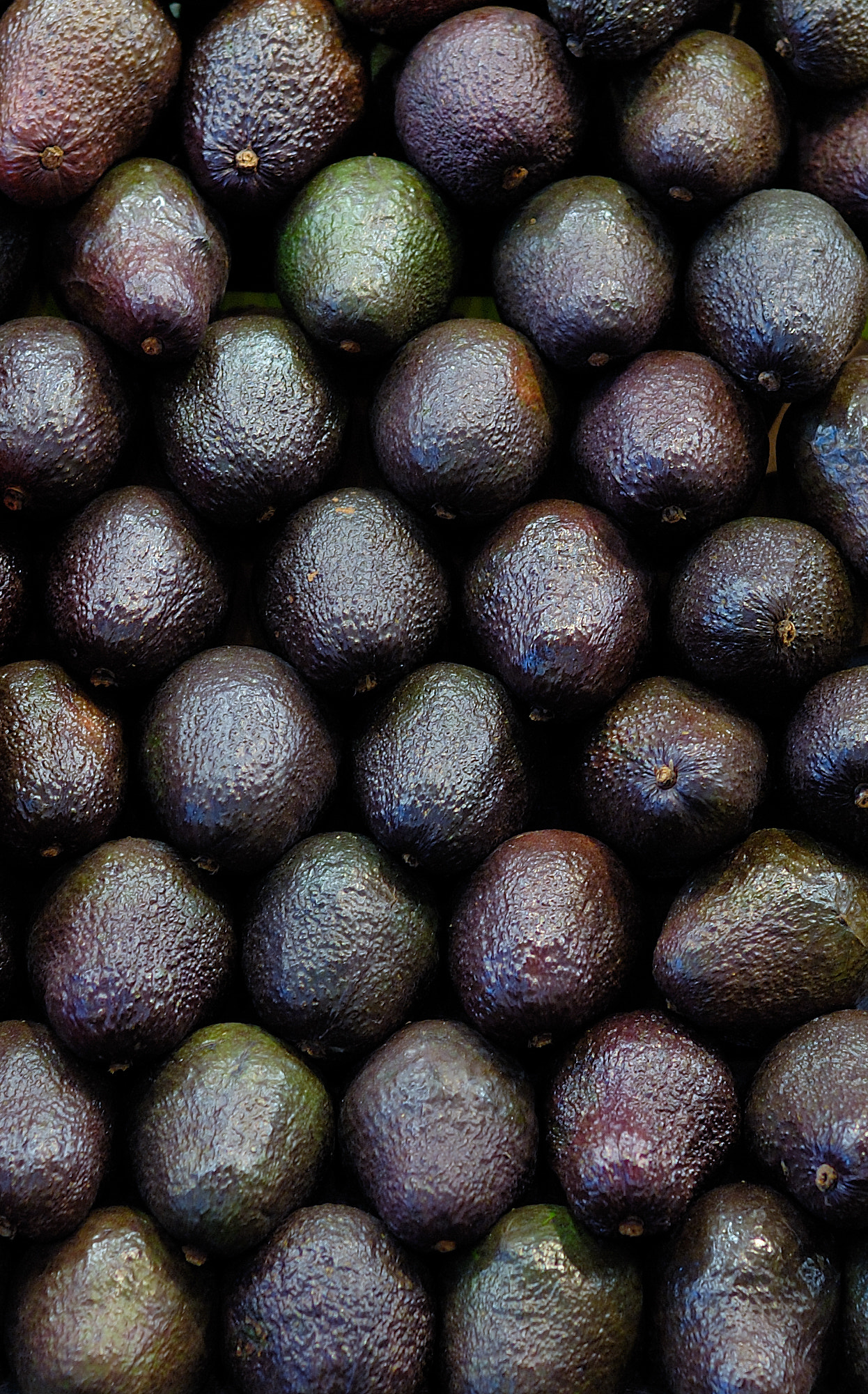 Nikon D70 + Nikon AF Nikkor 50mm F1.4D sample photo. Avocados photography