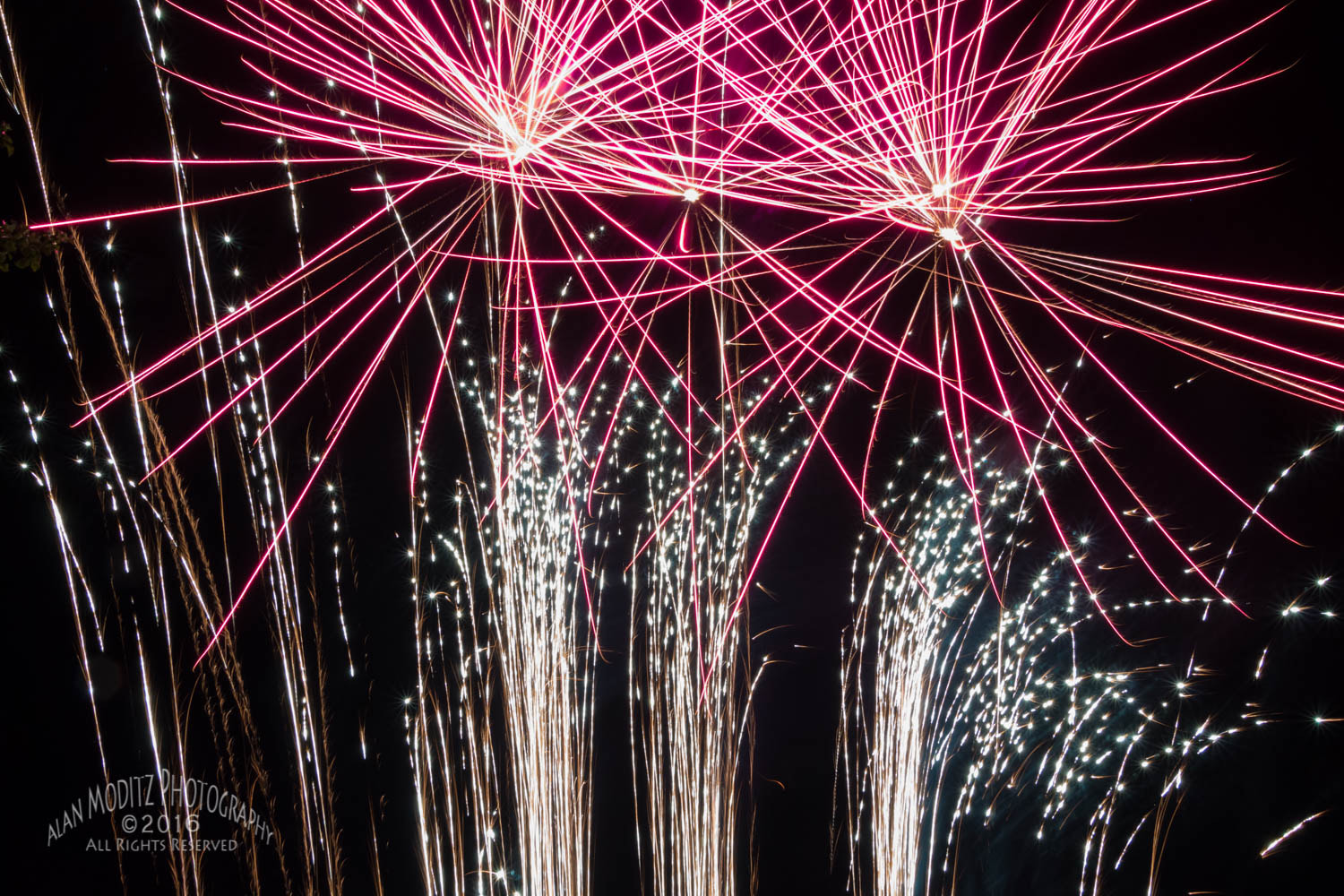 Canon EOS 70D + Sigma 18-50mm f/2.8 Macro sample photo. A little something from the 4th of july. photography