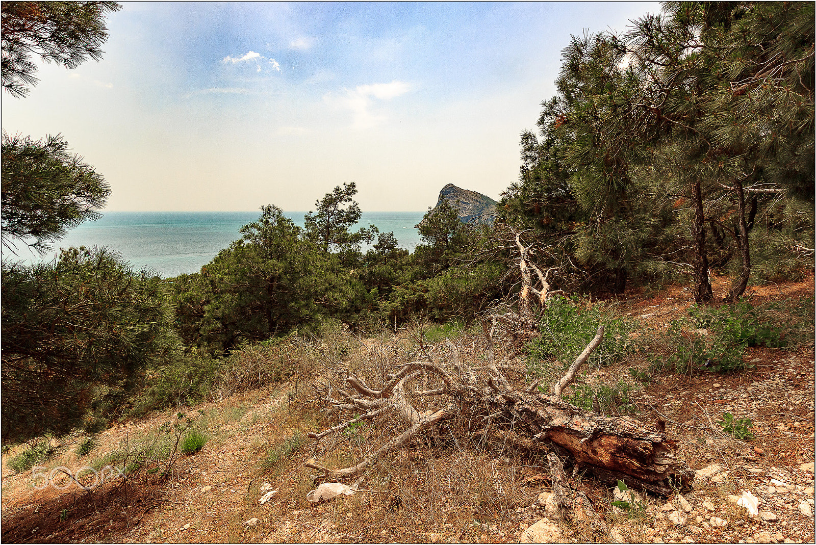 Sigma 10-20mm F3.5 EX DC HSM sample photo. On the way to the noviy svet photography
