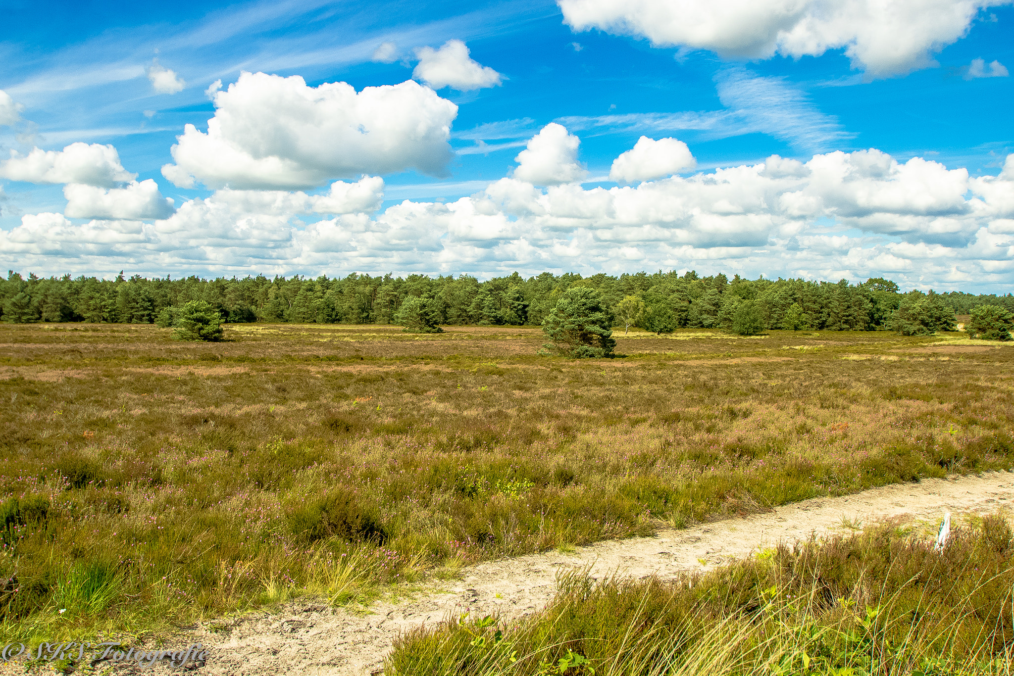 Sigma 10-20mm F3.5 EX DC HSM sample photo. Mooie luchten veluwe photography