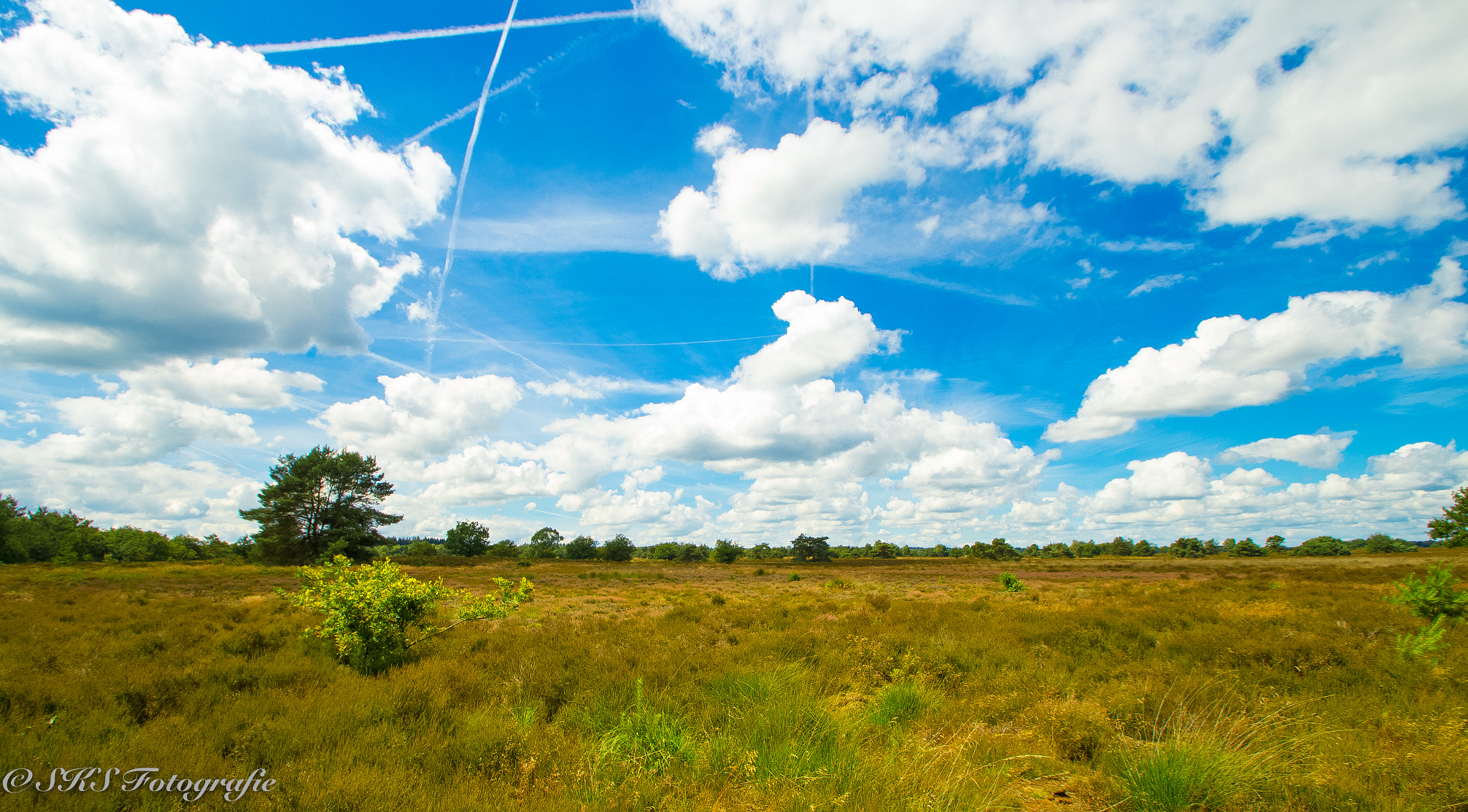 Sigma 10-20mm F3.5 EX DC HSM sample photo. Mooie luchten veluwe photography