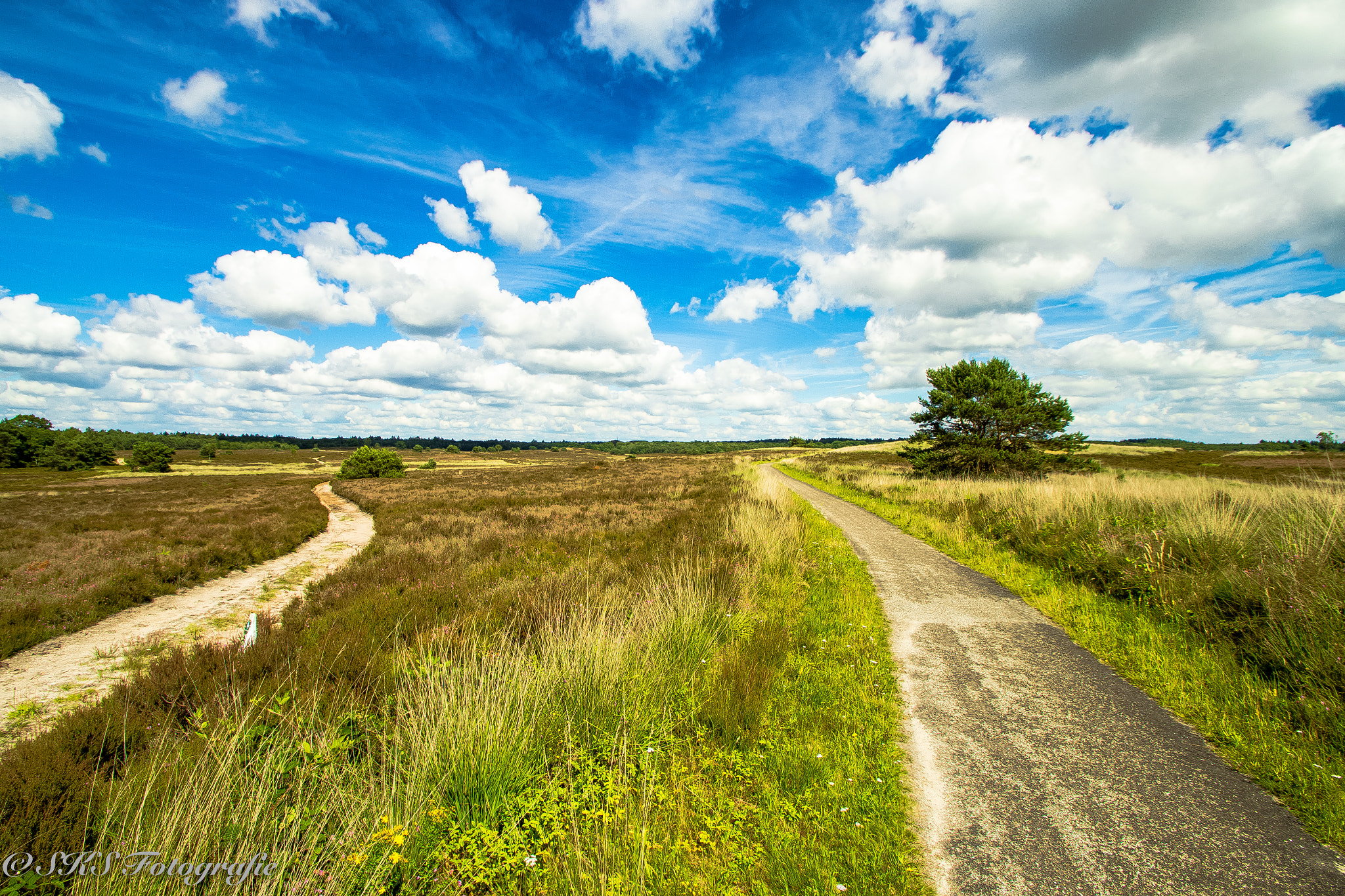 Sigma 10-20mm F3.5 EX DC HSM sample photo. Mooie luchten veluwe photography