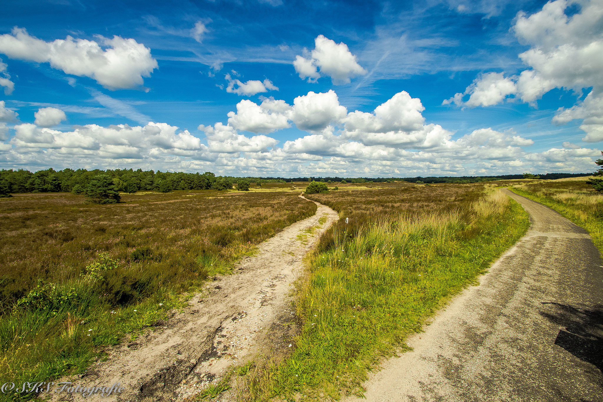Sigma 10-20mm F3.5 EX DC HSM sample photo. Mooie luchten veluwe photography