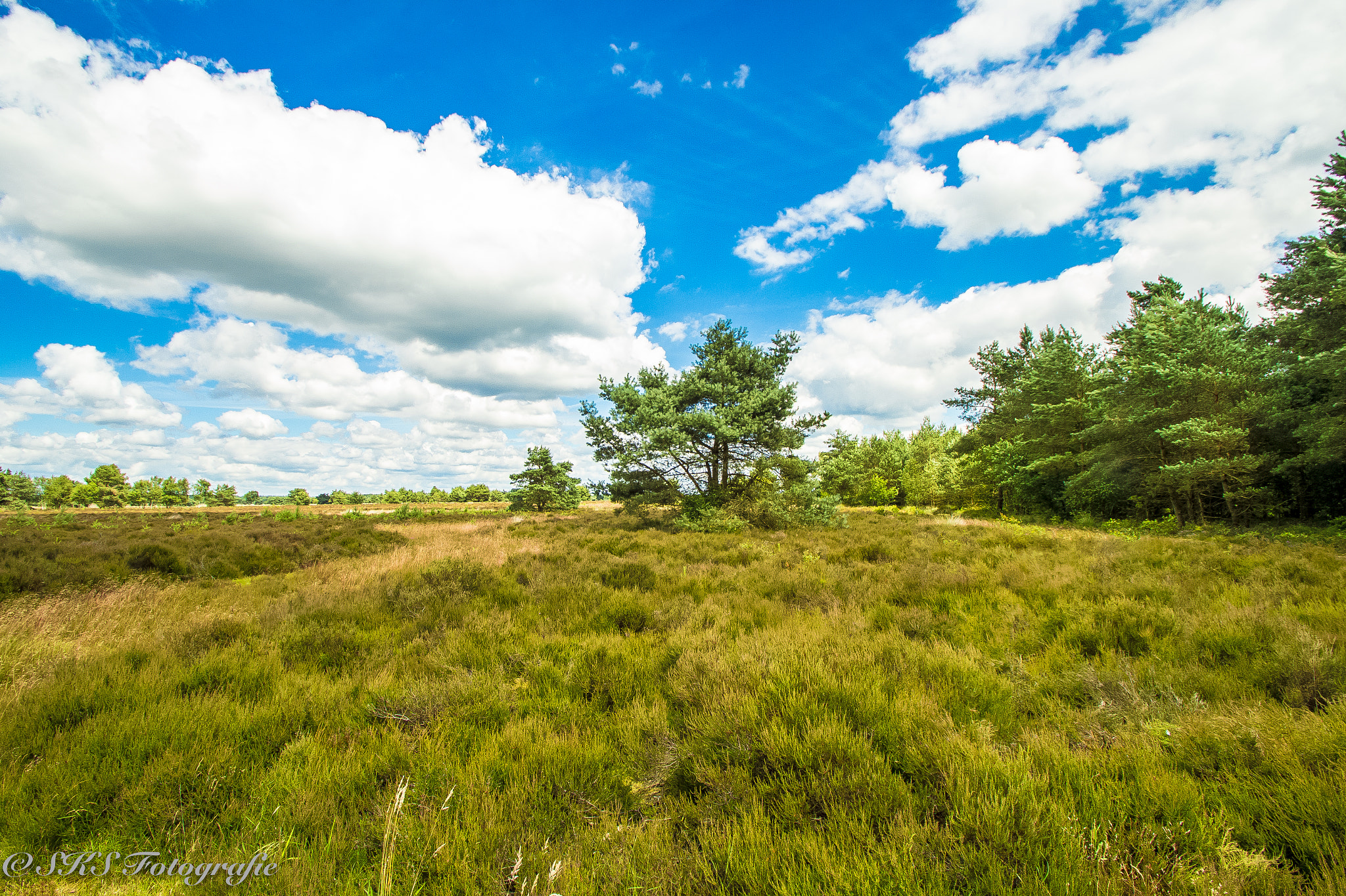 Sigma 10-20mm F3.5 EX DC HSM sample photo. Mooie luchten veluwe photography