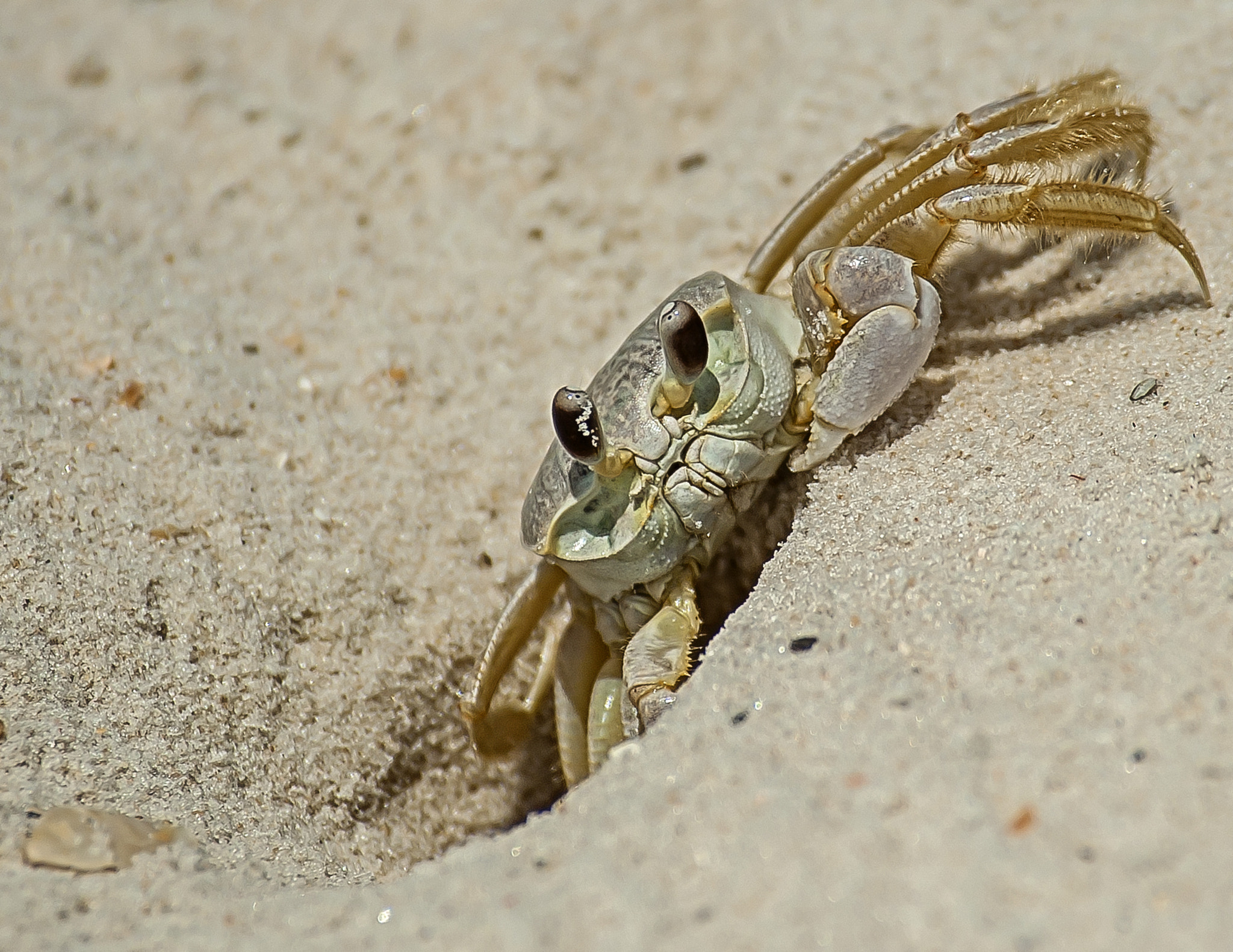 Nikon D3 sample photo. In or out photography
