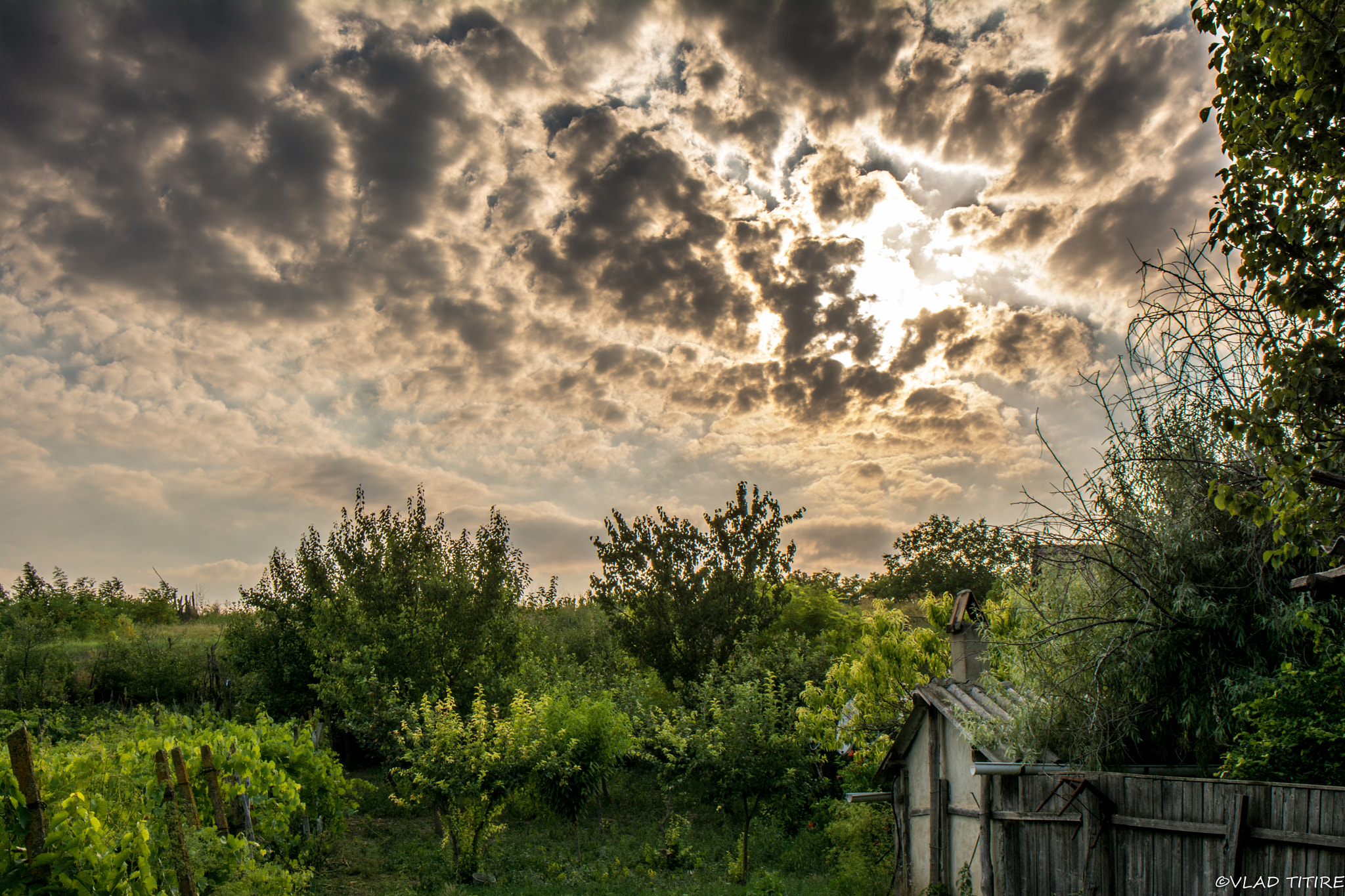 Sigma 18-50mm F2.8-4.5 DC OS HSM sample photo. Sky*a photography
