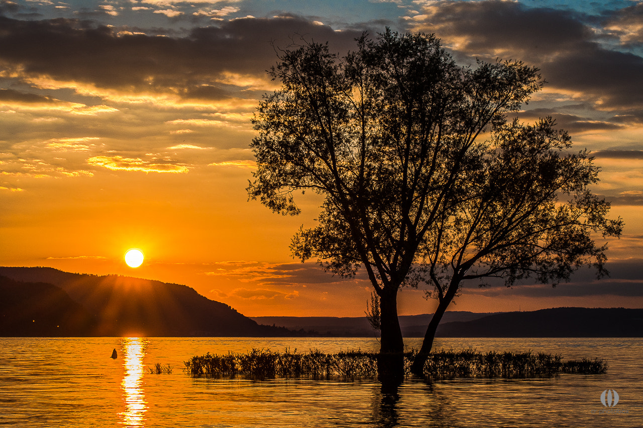 Nikon D500 sample photo. Lake of constance i photography