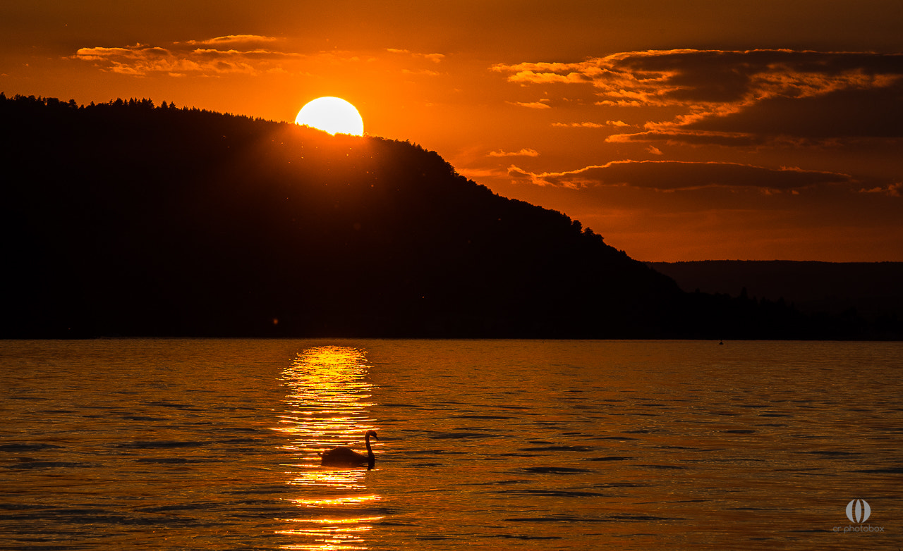 Nikon D500 sample photo. Lake of constance ii photography