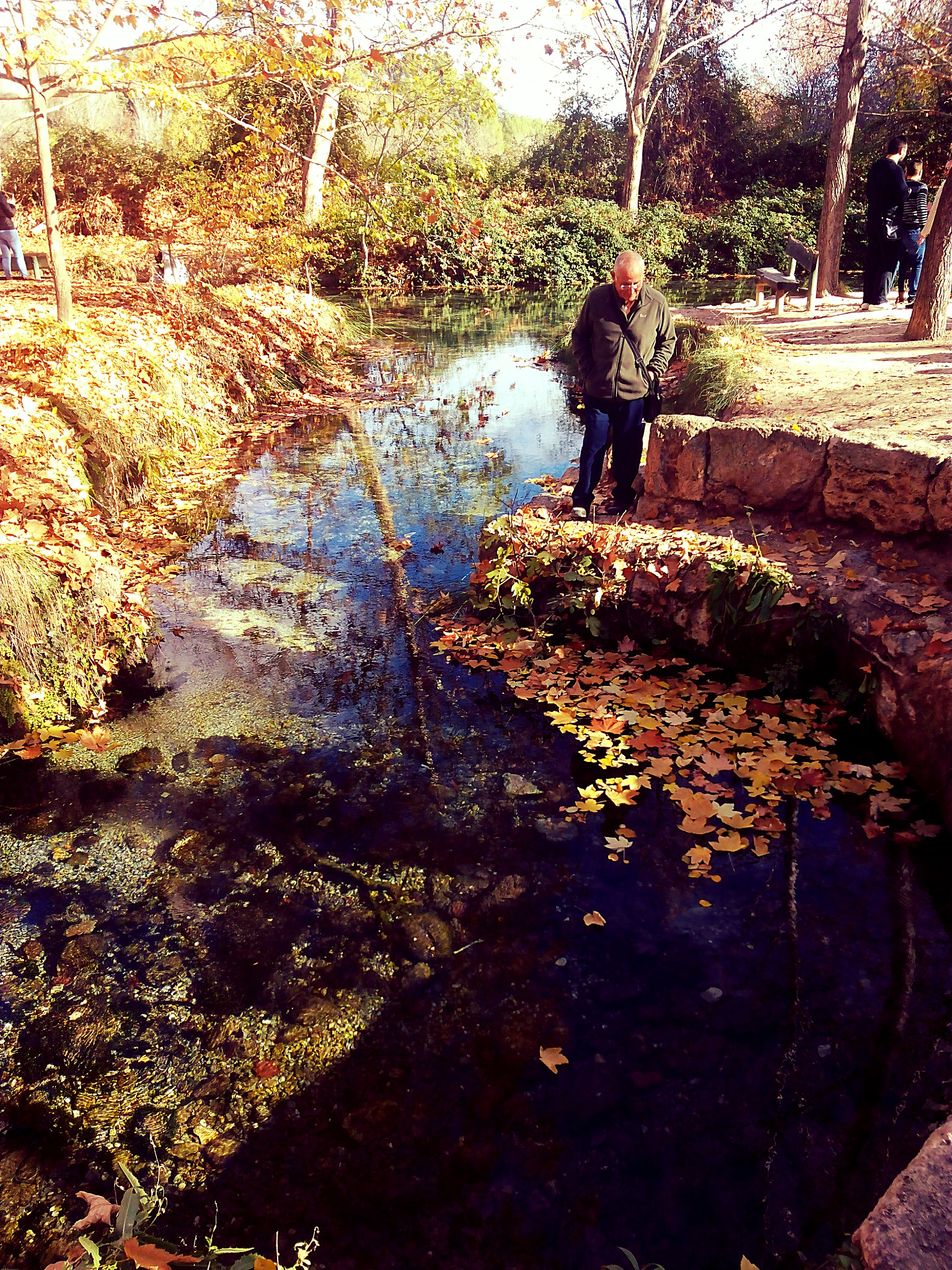 bq Aquaris E5 HD sample photo. Otoño photography