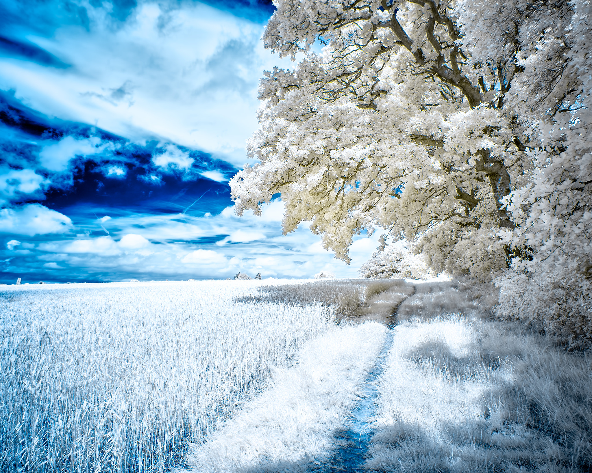 Sony Alpha NEX-5N + Sony E 16mm F2.8 sample photo. Ir landscape 1 photography