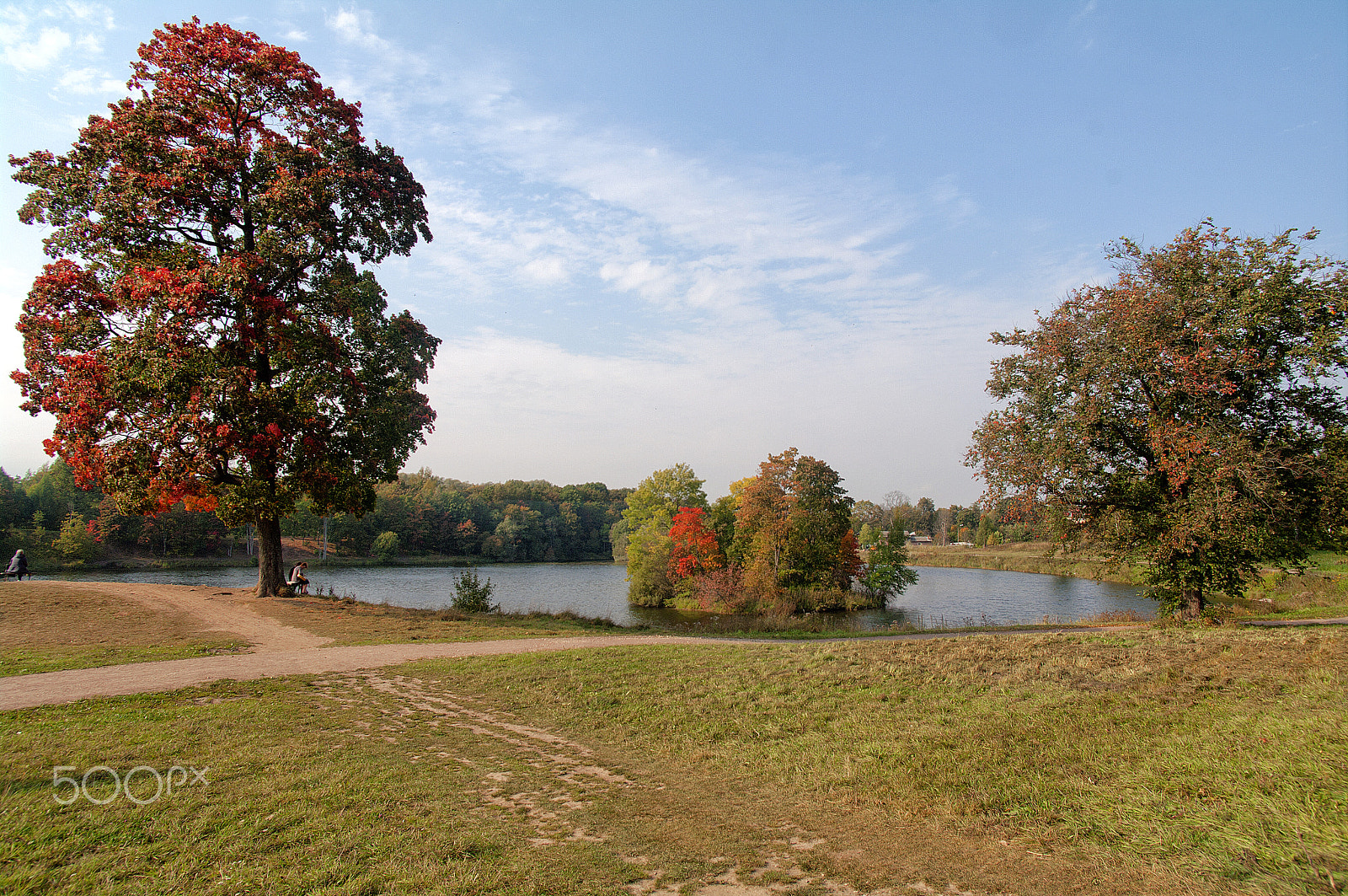Pentax smc DA 14mm F2.8 ED (IF) sample photo. Осень photography