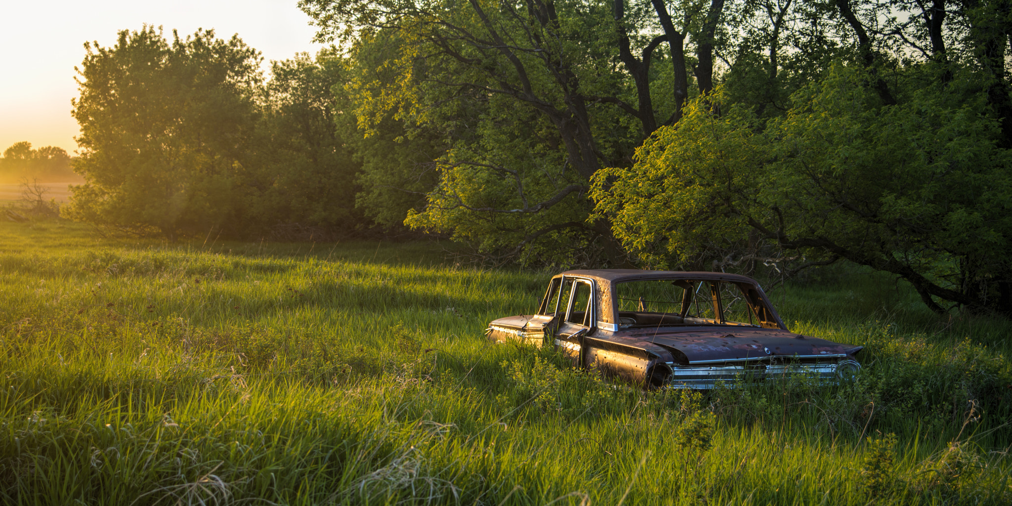 AF Zoom-Nikkor 28-70mm f/3.5-4.5 sample photo. Ford in trees at sunset color photography