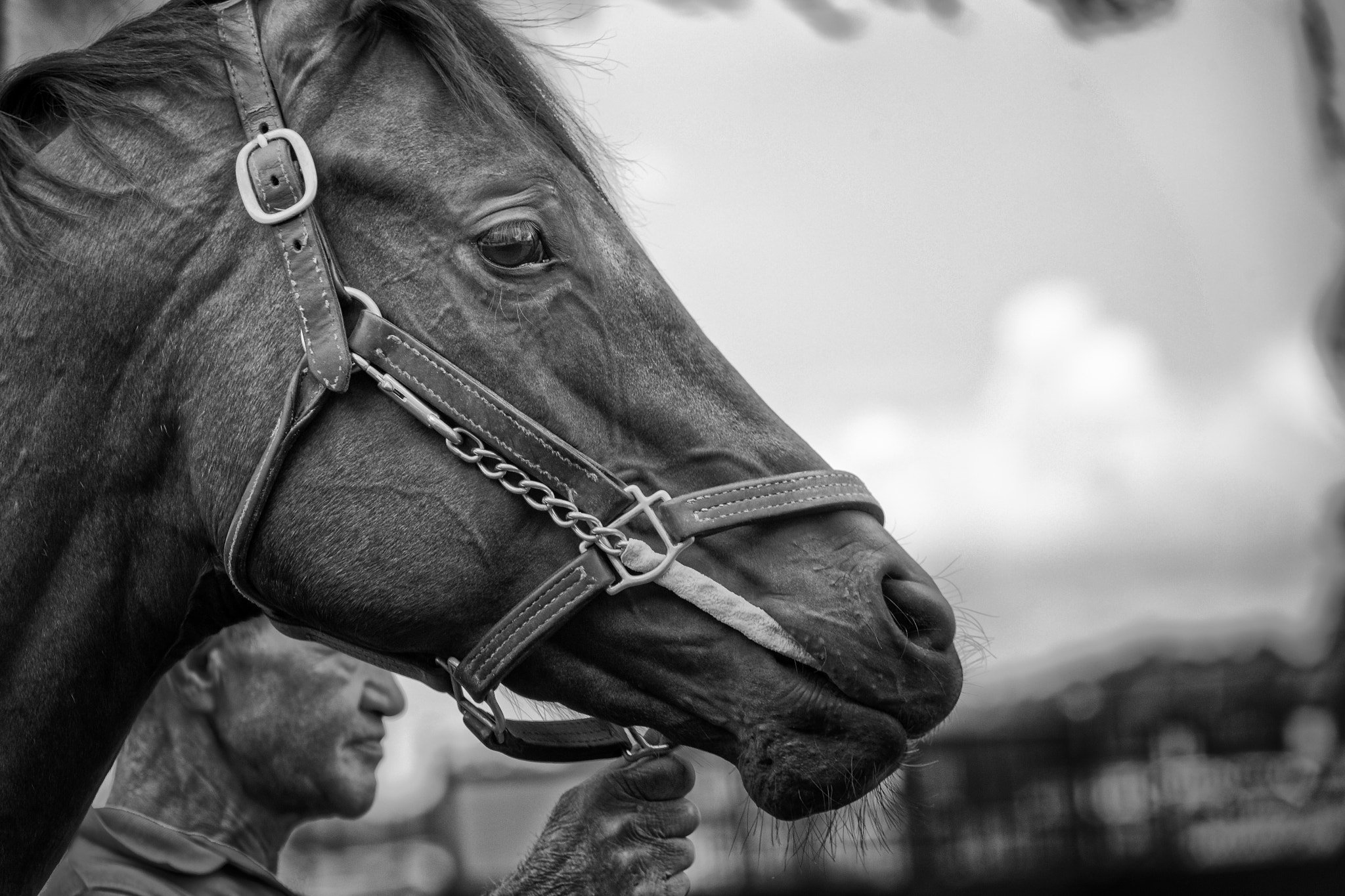 Canon 70.0-200.0 mm sample photo. I got you photography
