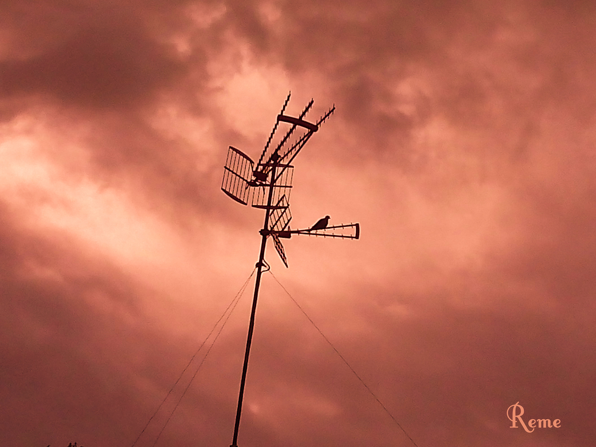 bq Aquaris E5 HD sample photo. Antenas photography