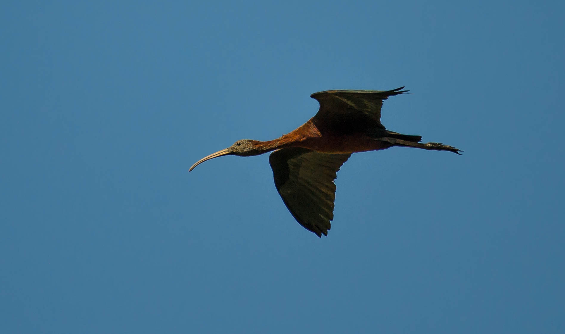 Nikon D3S sample photo. 28316862866.jpg photography