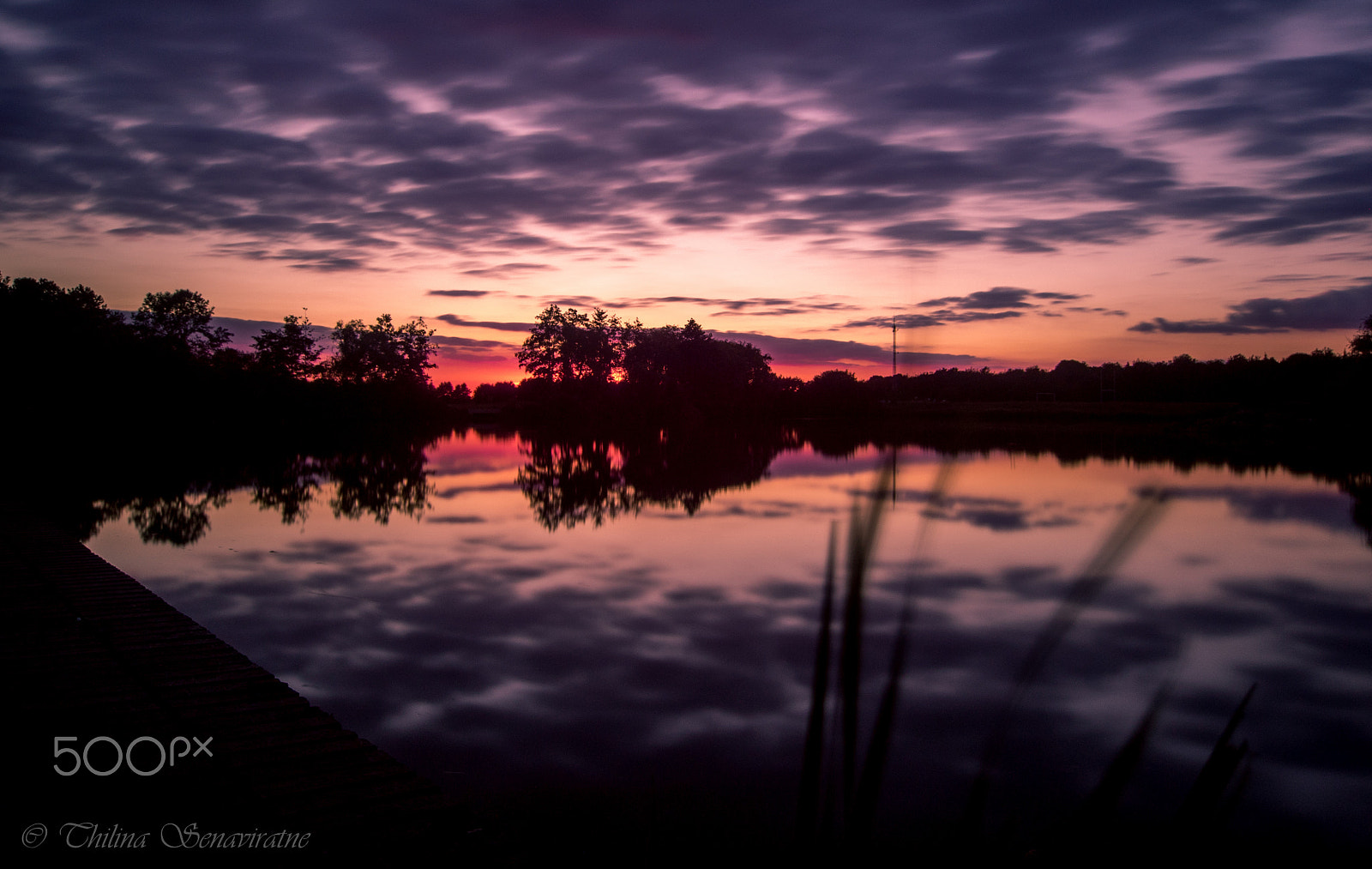 Olympus OM-D E-M1 + OLYMPUS M.9-18mm F4.0-5.6 sample photo. Loner sunset in melancholia.... photography