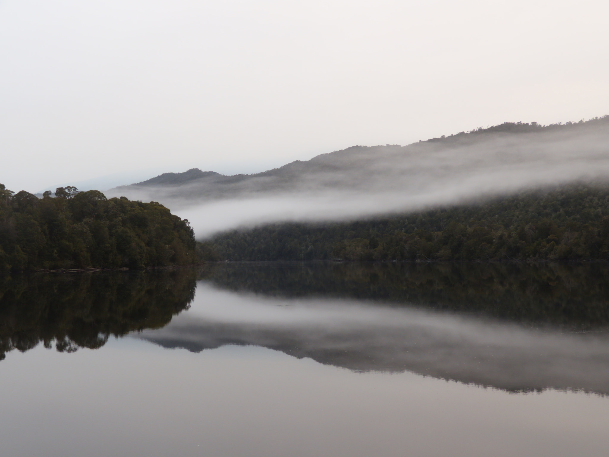 Canon XC10 sample photo. Morning mist on the lower gordon photography