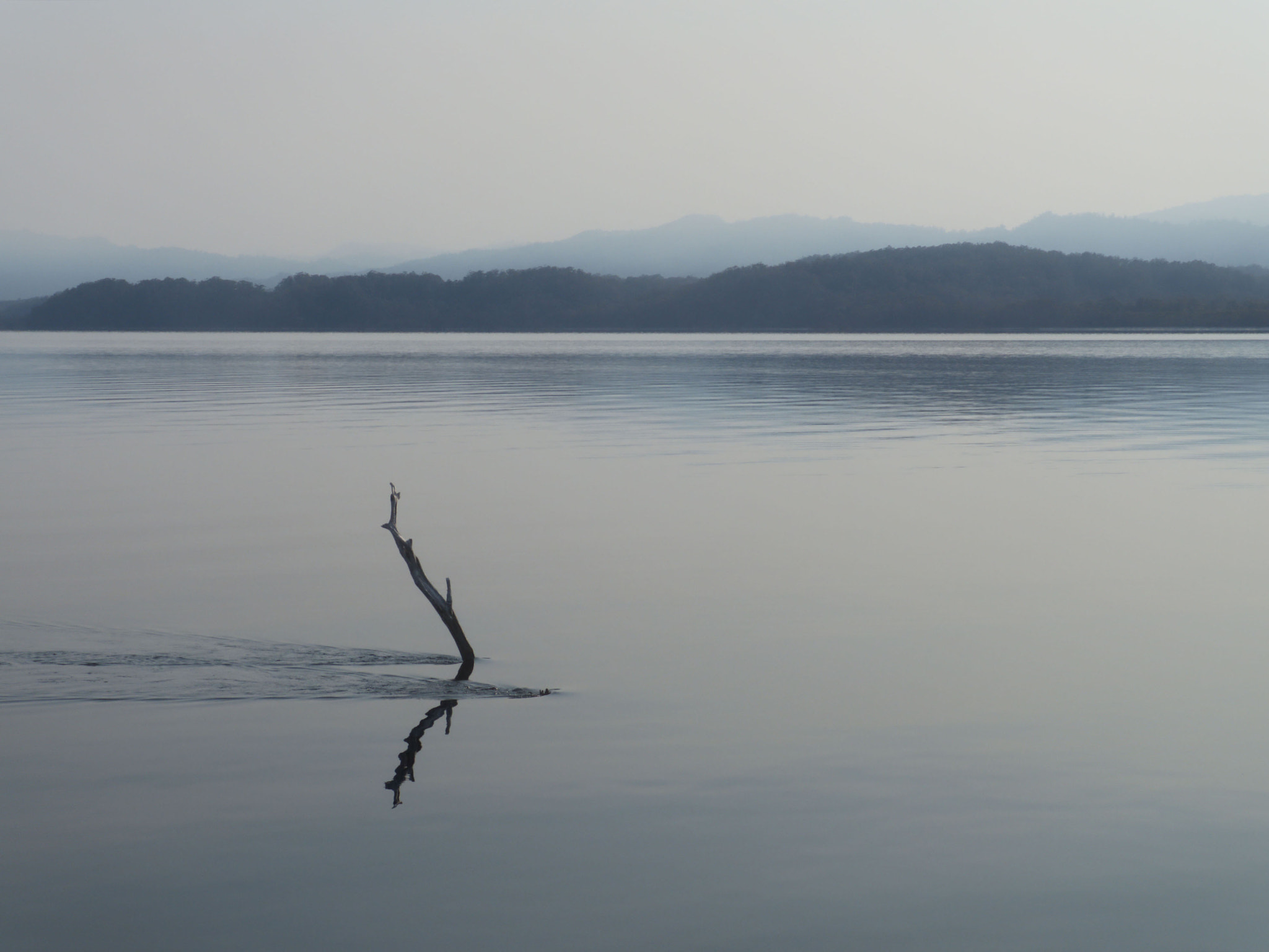 Canon XC10 sample photo. Lower gordon river photography