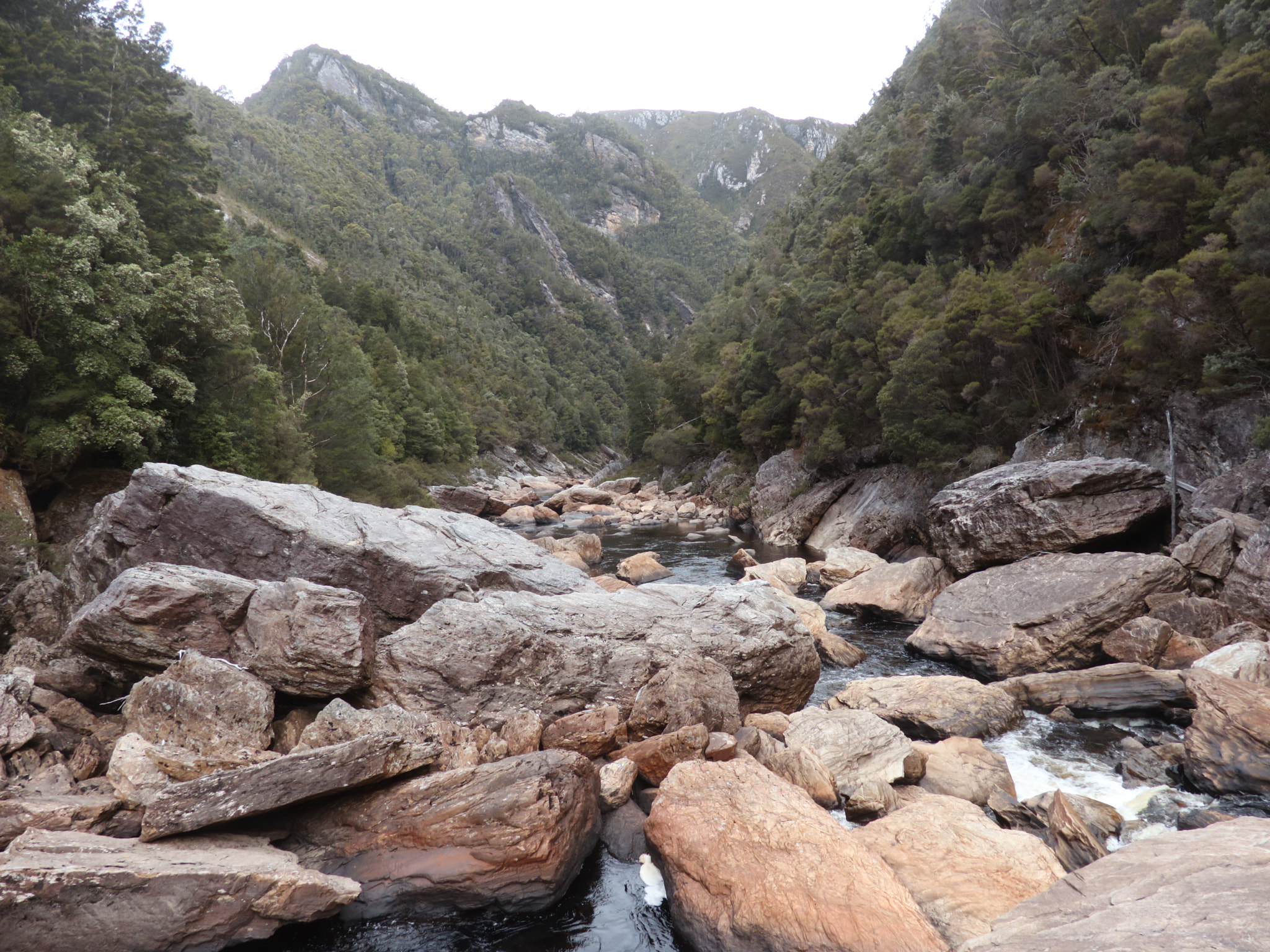 Canon XC10 sample photo. Upper franklin river photography