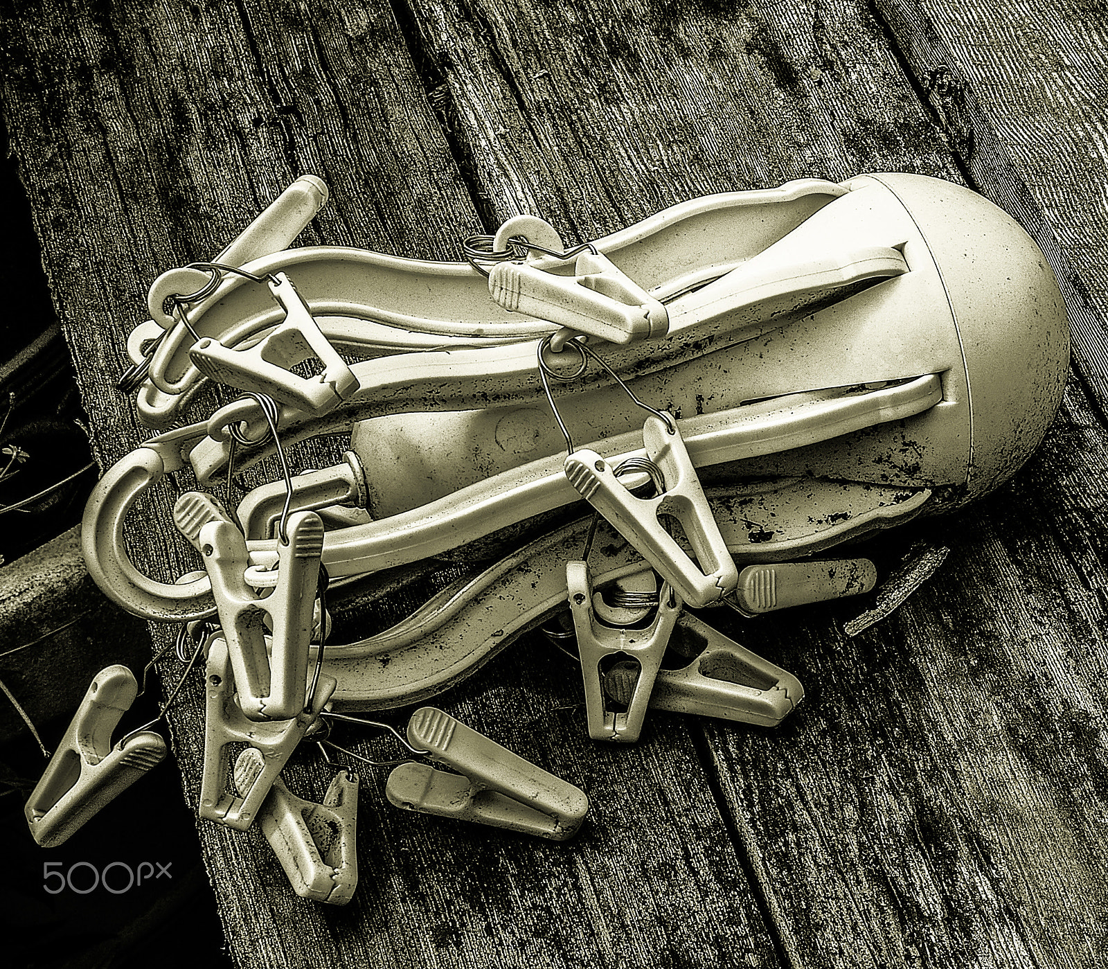 Sony a7R II + Canon EF 24-70mm F4L IS USM sample photo. Laundry squid photography
