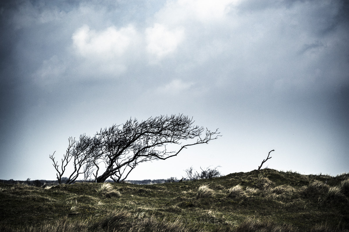 Nikon D3200 + AF Nikkor 85mm f/1.8 sample photo. Schiermonnikoog photography
