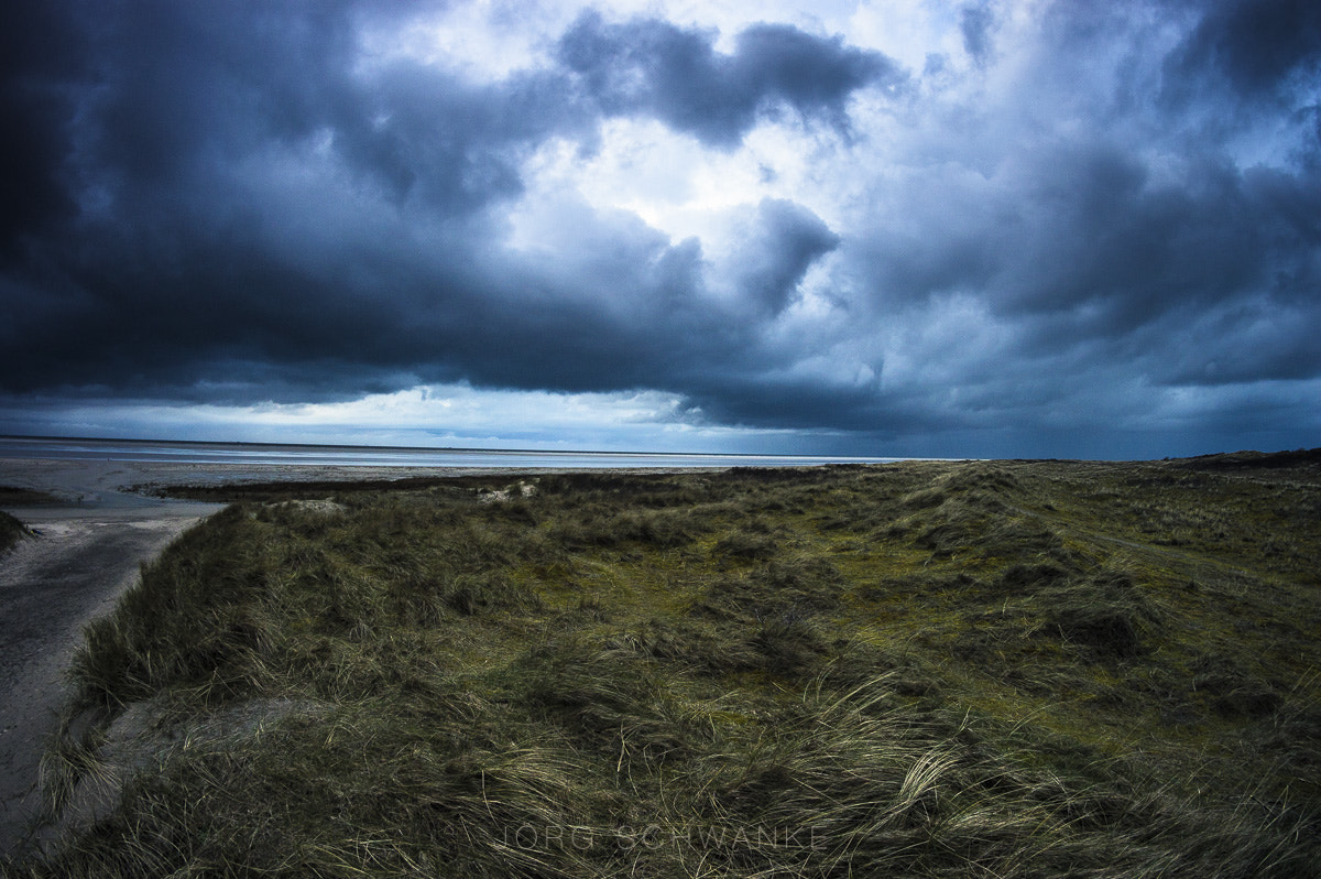 Nikon D3200 + Samyang 8mm F3.5 Aspherical IF MC Fisheye sample photo. Schiermonnikoog photography