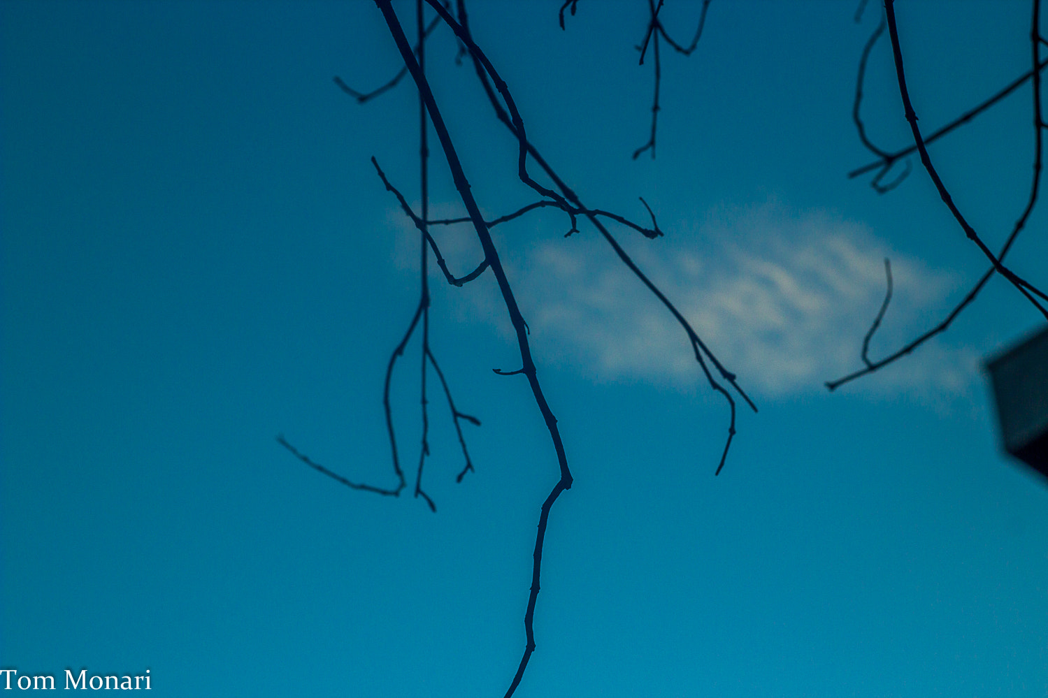 Canon EF 35-80mm f/4-5.6 sample photo. Fim de tarde 2 photography