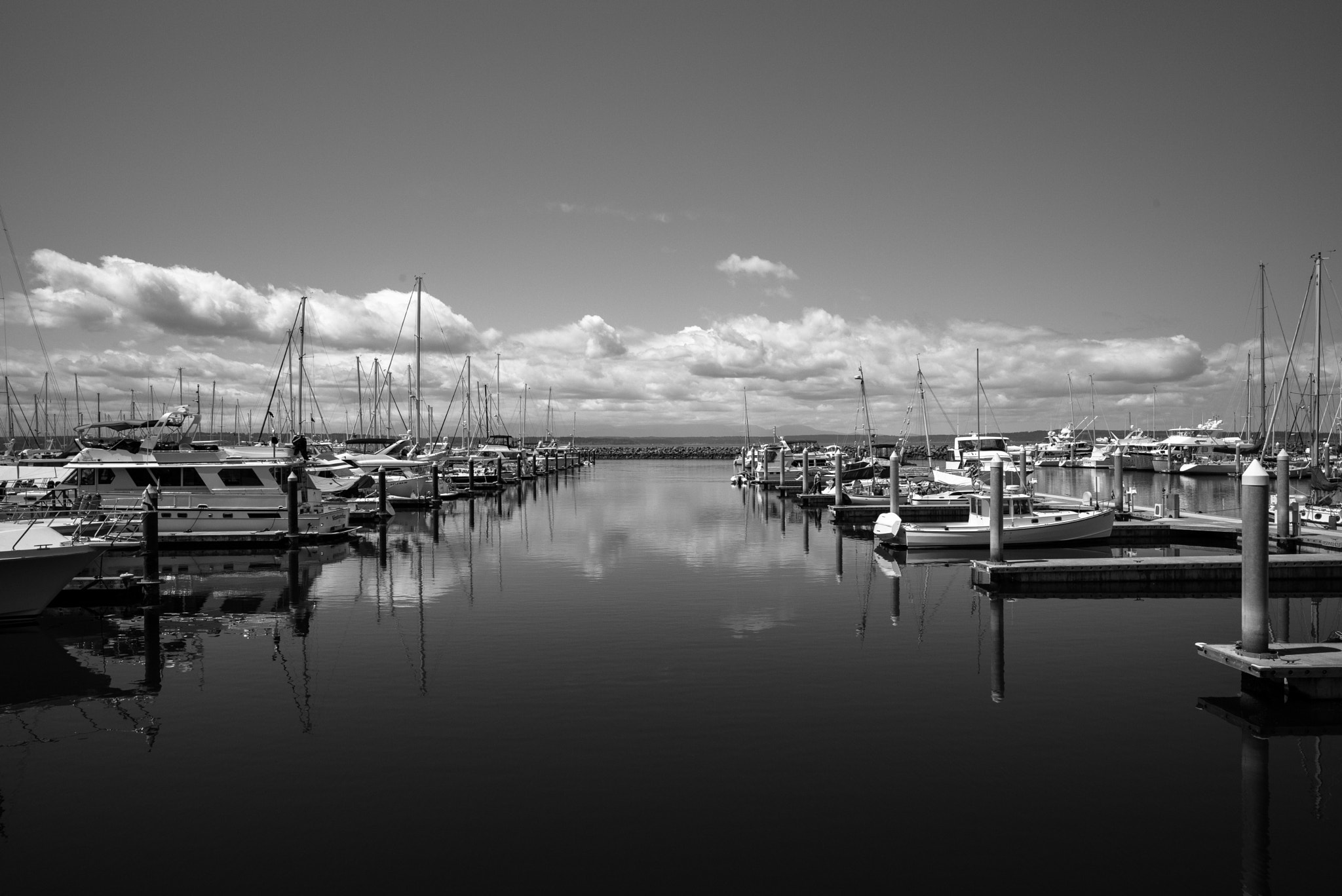 Leica Super-Elmar-M 21mm F3.4 ASPH sample photo. Shilshole bay (b&w) photography