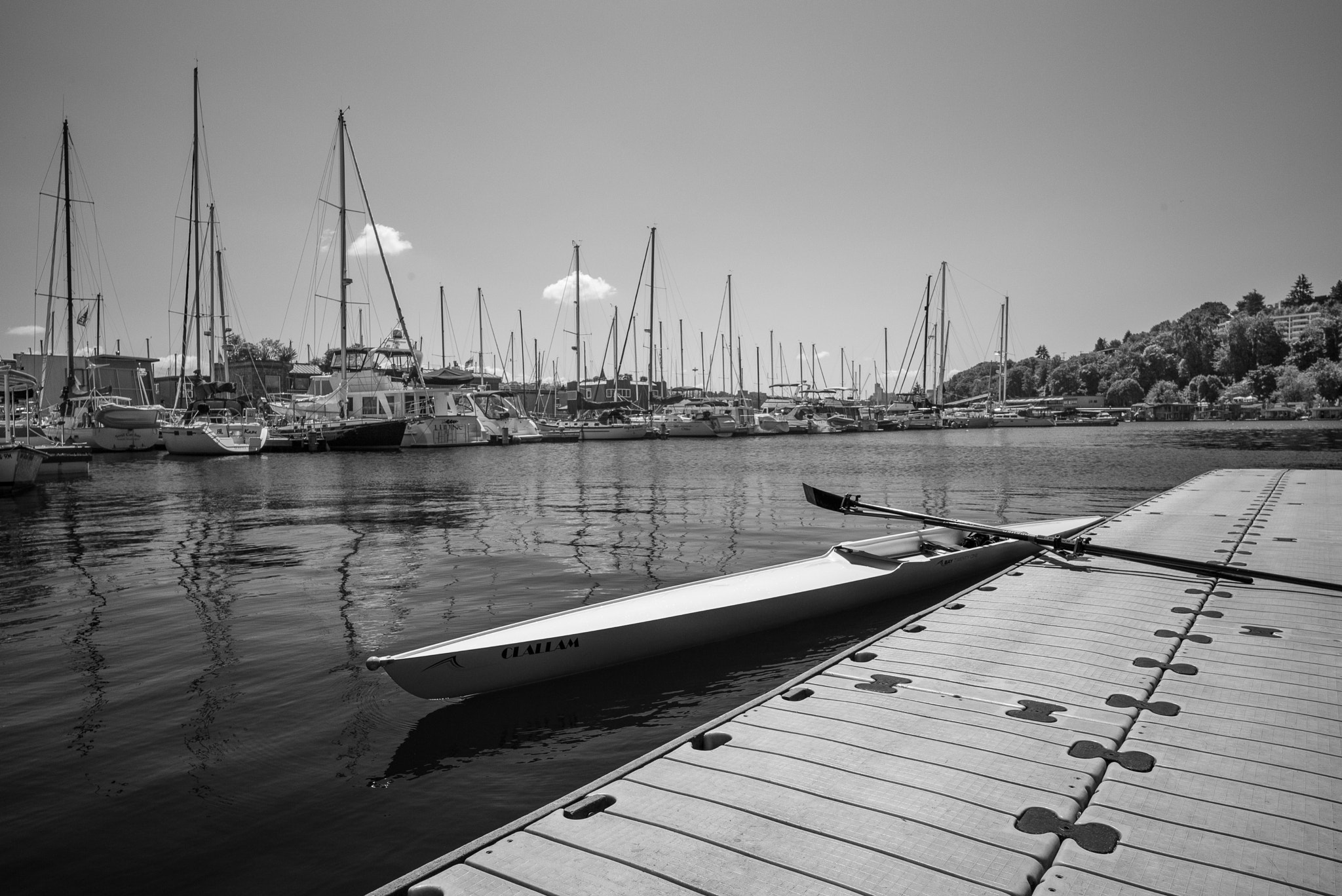 Leica Super-Elmar-M 21mm F3.4 ASPH sample photo. Dock at lake washington rowing club photography