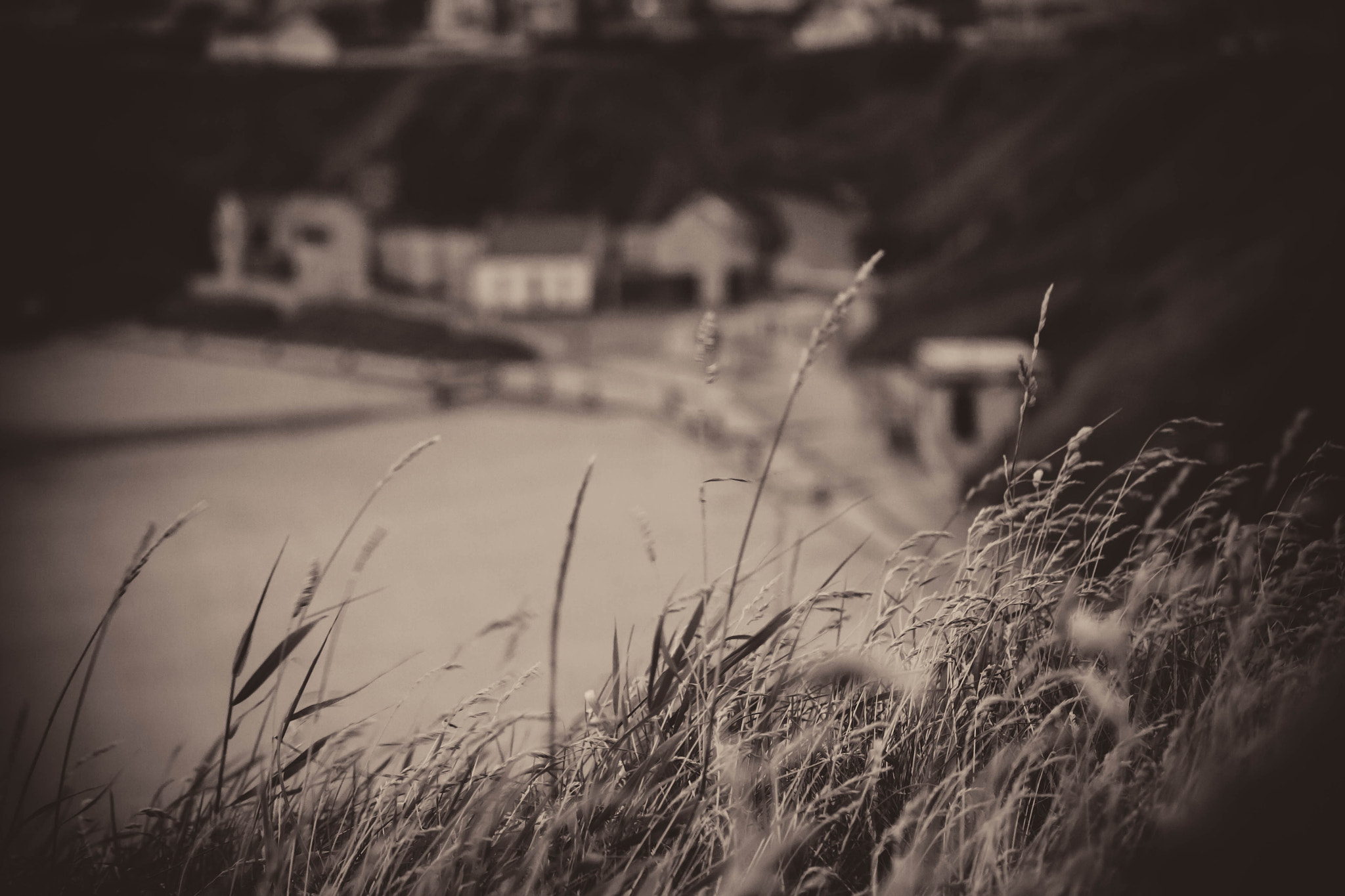 Canon EF-S 55-250mm F4-5.6 IS II sample photo. Missing you already photography