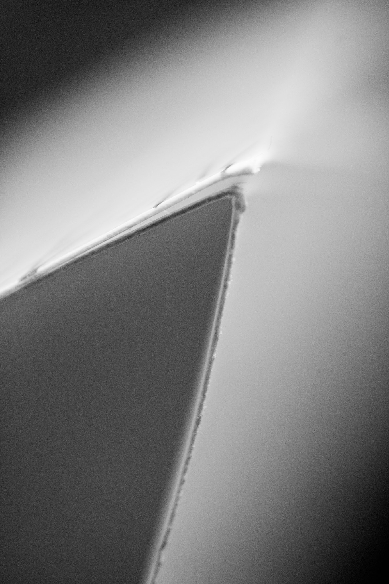 Canon EF-S 60mm F2.8 Macro USM sample photo. Greetings from the edge photography