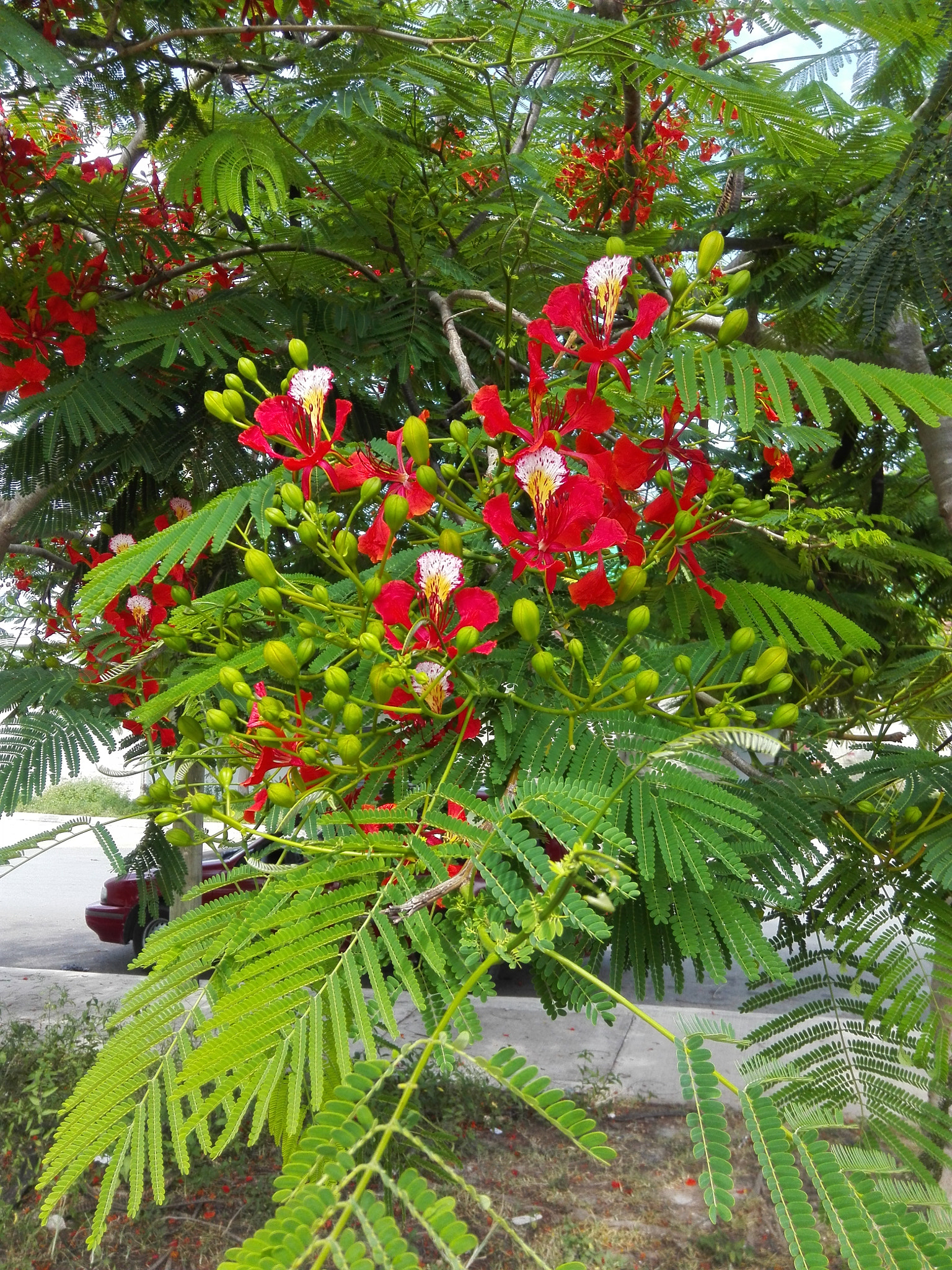HUAWEI CHC-U03 sample photo