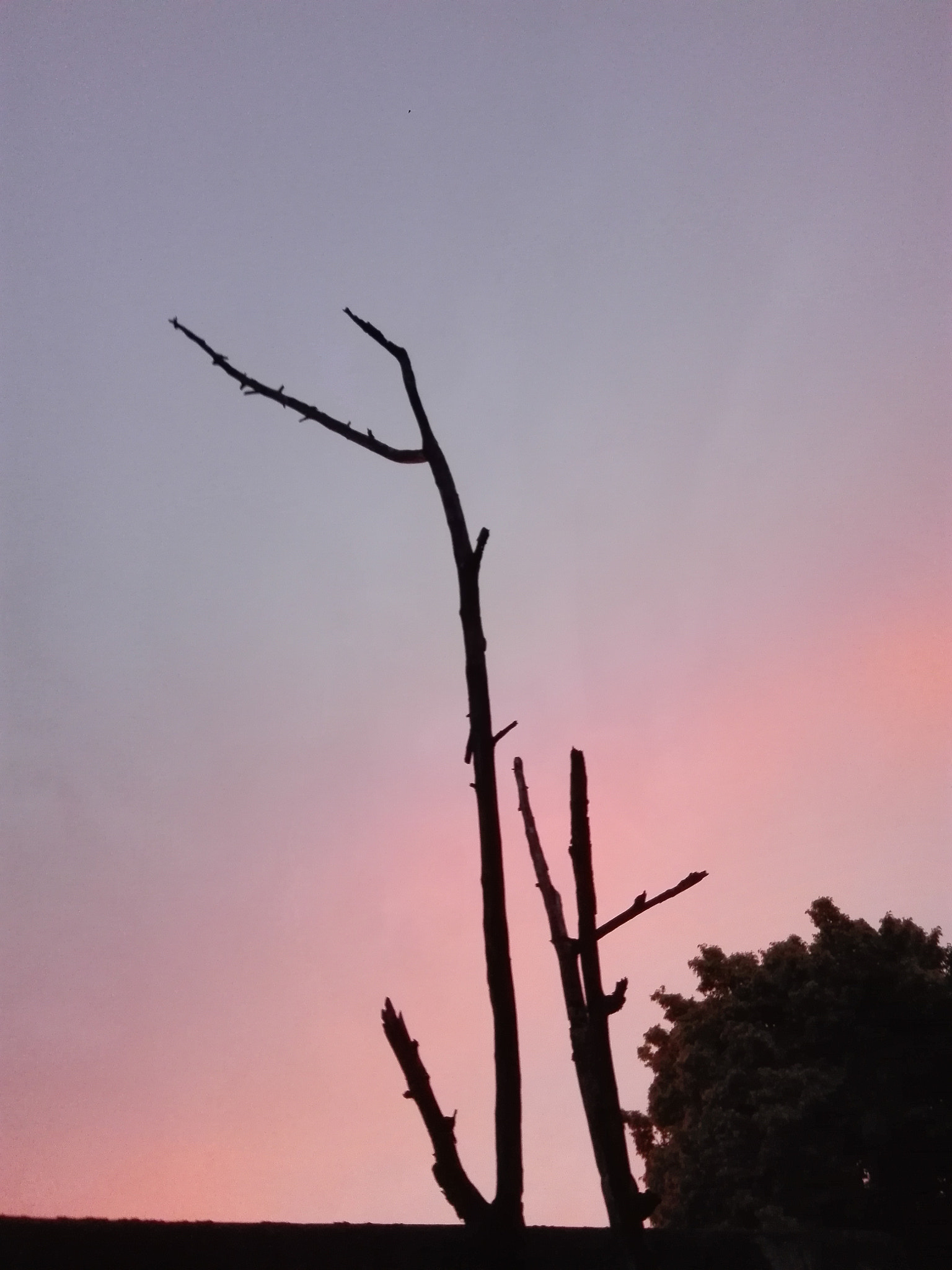 HUAWEI CHC-U03 sample photo. Atardecer photography