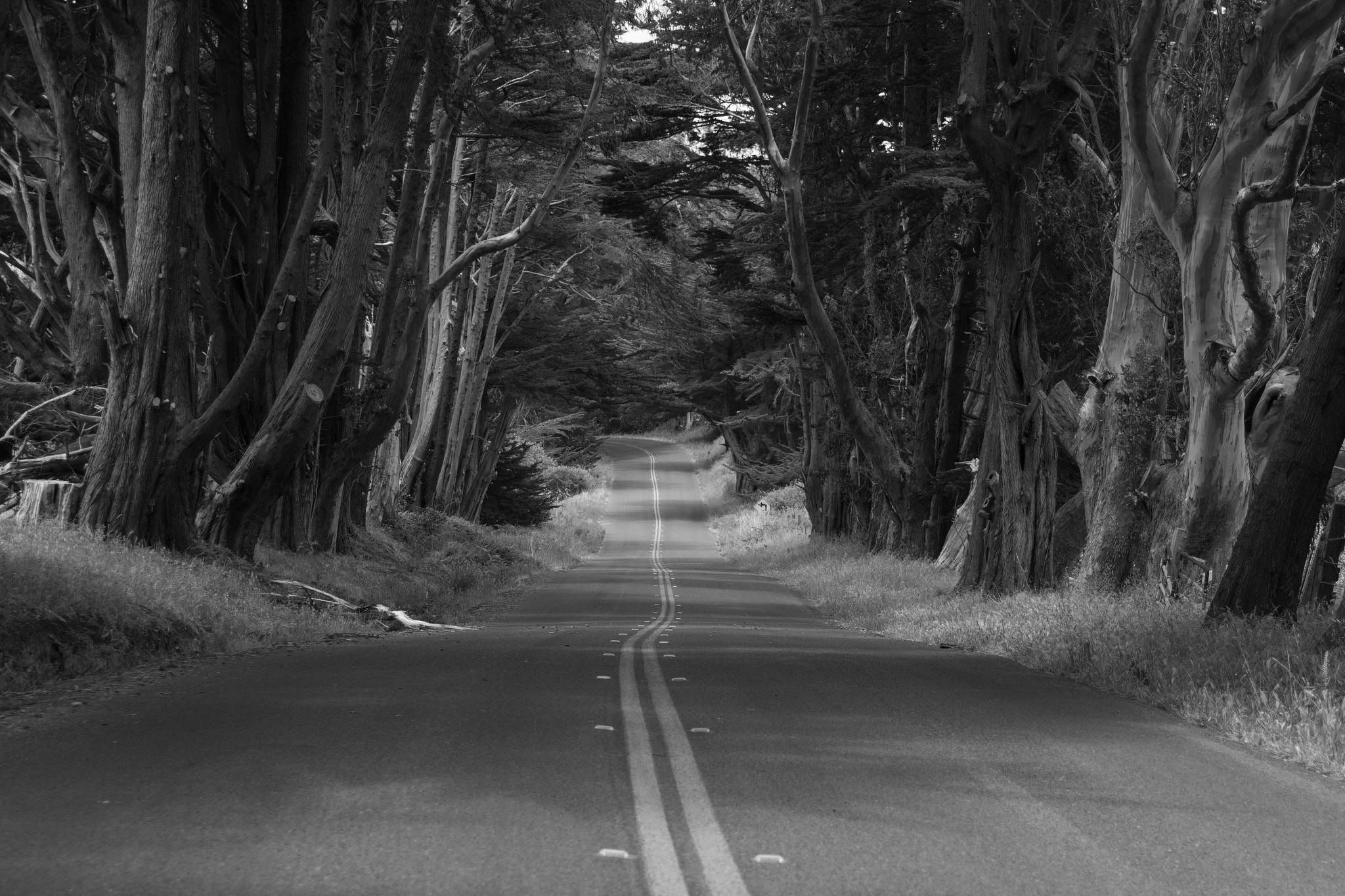 Canon EF 28-105mm f/3.5-4.5 USM sample photo. Road north b&w photography