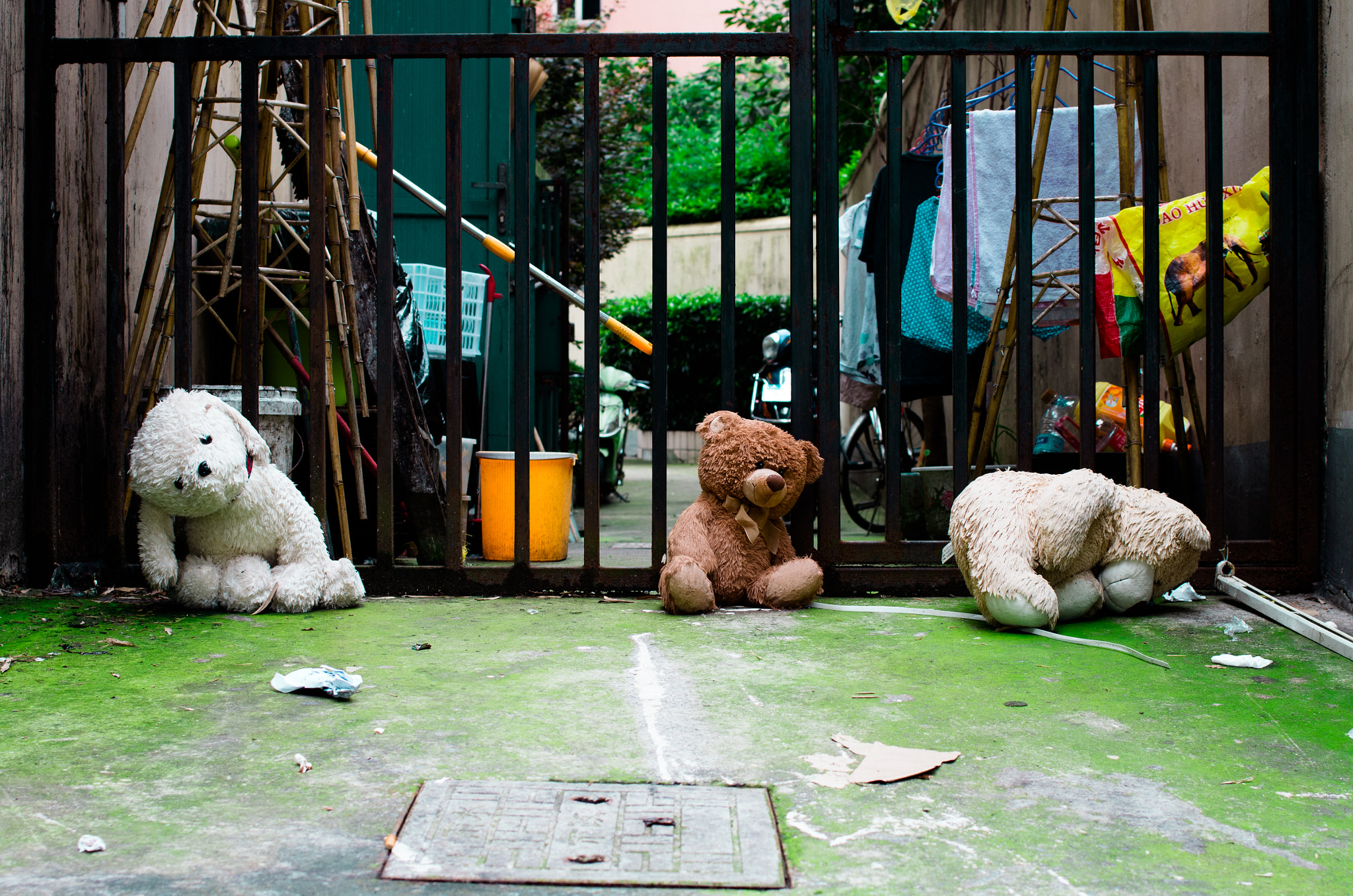 Pentax smc DA 35mm F2.4 AL sample photo. Waiting photography