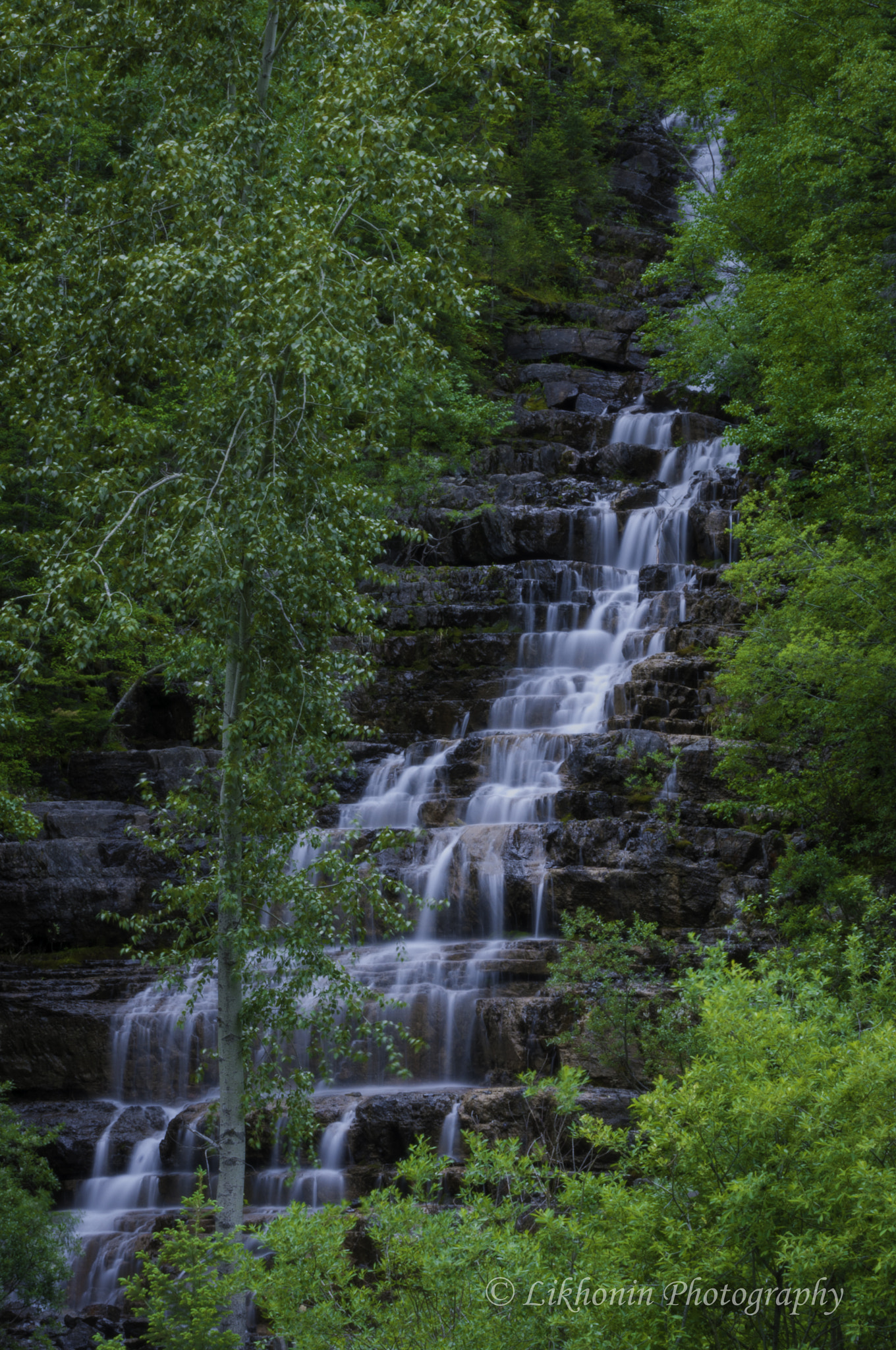 Nikon D300S sample photo. "one step at a time" photography