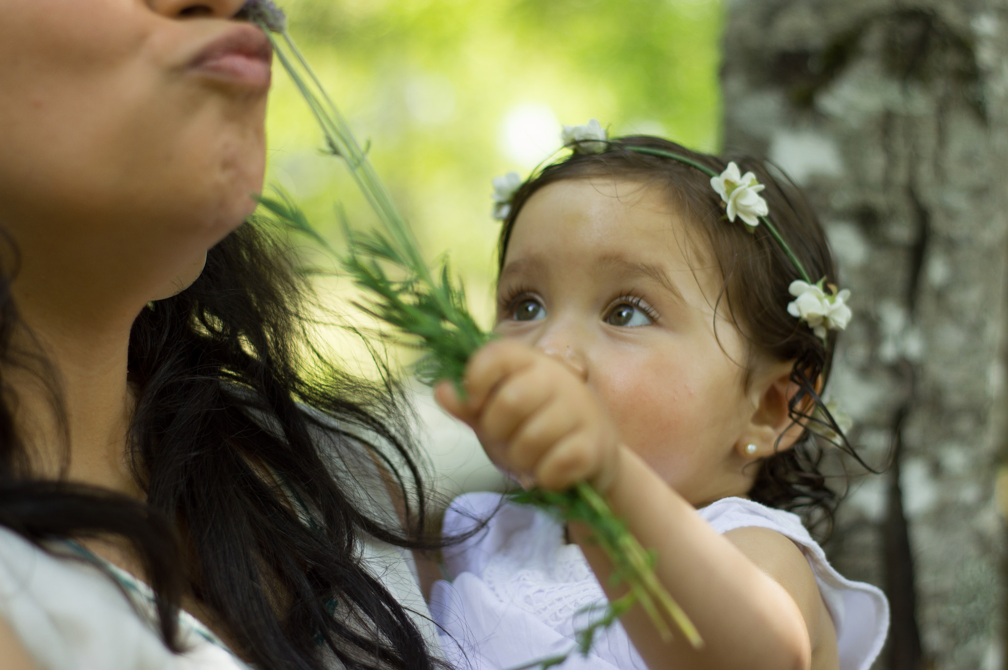 Nikon D3200 + AF Nikkor 50mm f/1.8 sample photo. Lavanda photography