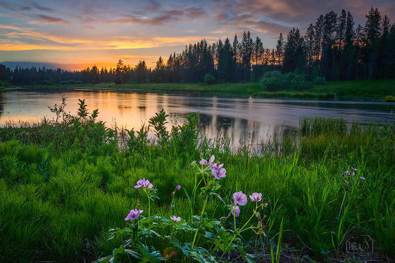 Sony a7R + Canon EF 16-35mm F2.8L II USM sample photo. Sunset by the lake photography